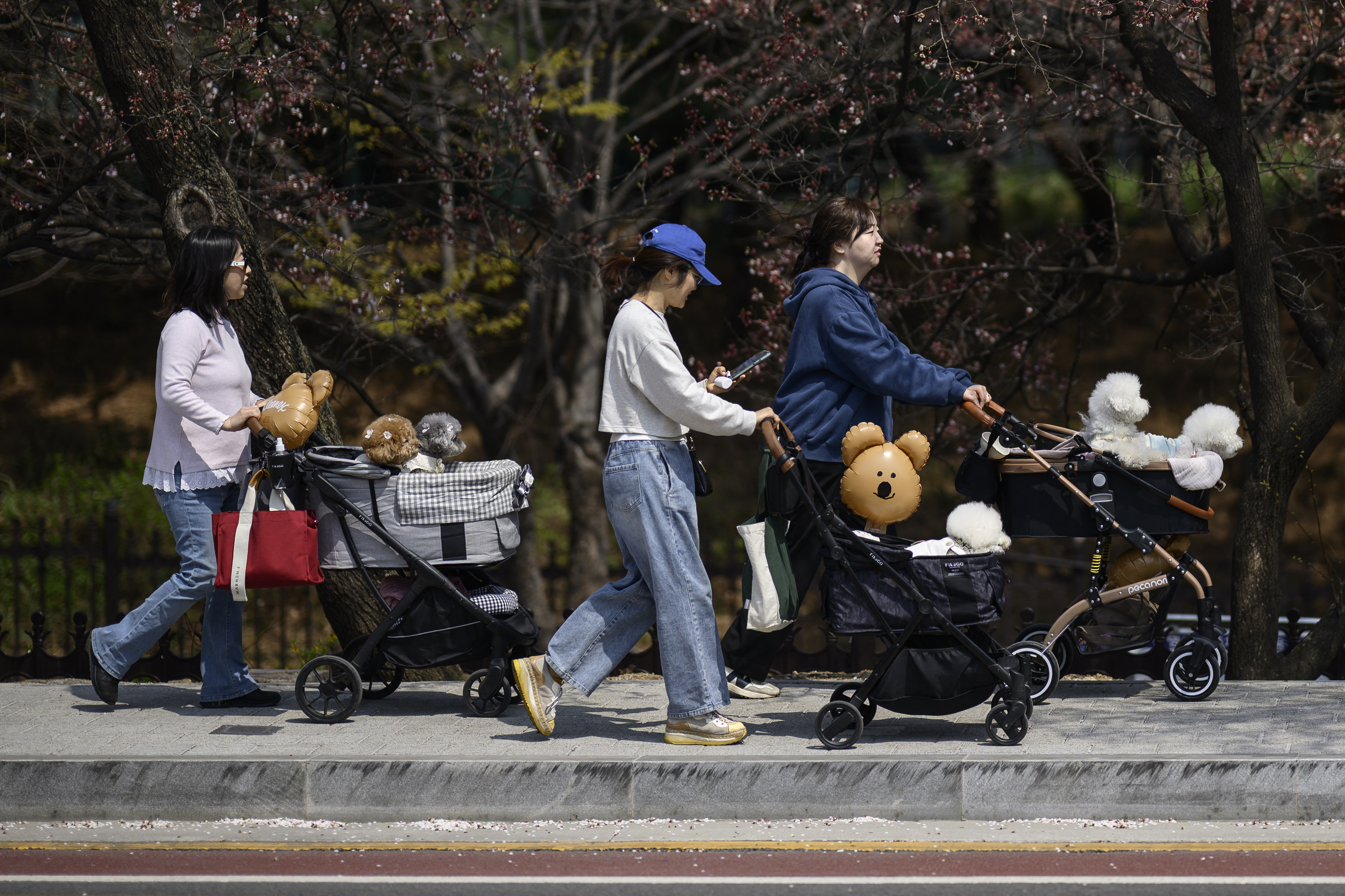 Can South Korea Rescue Its Alarming Birth Rate in 2026?