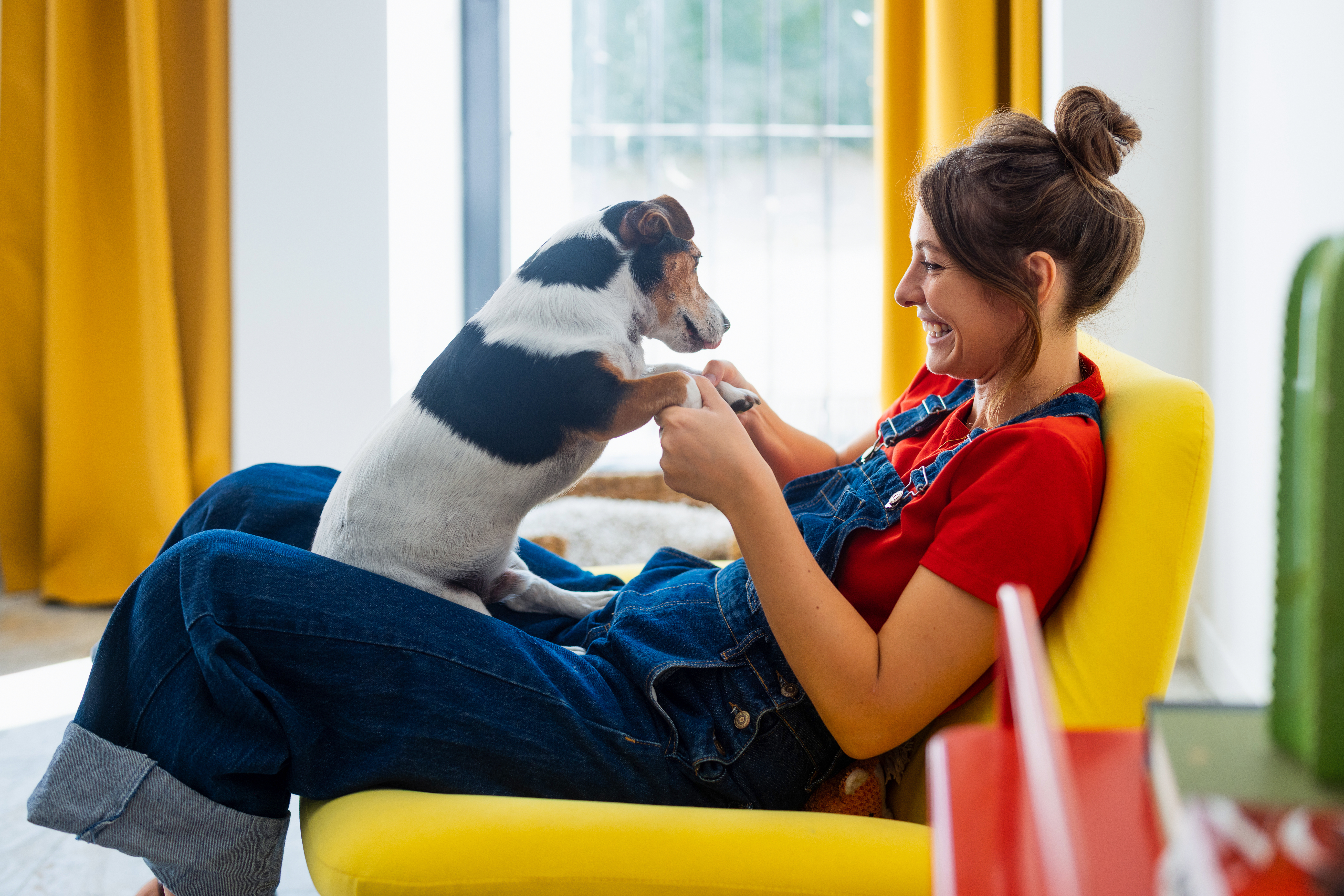 Vet Shares Top 5 Signs Your Pet Is Secretly Making the Rules