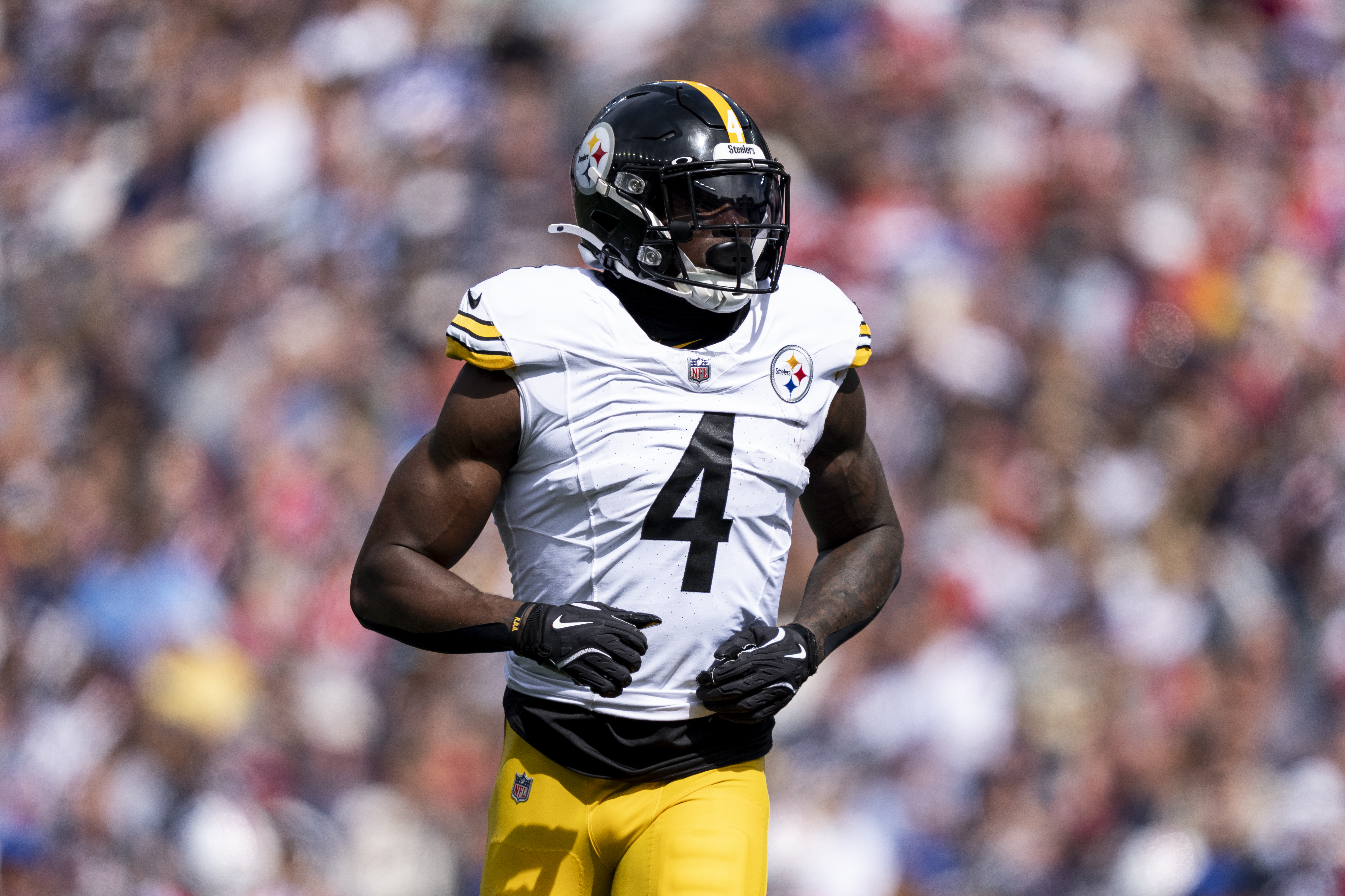 Suspension Likely Coming for Steelers’ DK Metcalf After Punching Lions Fan