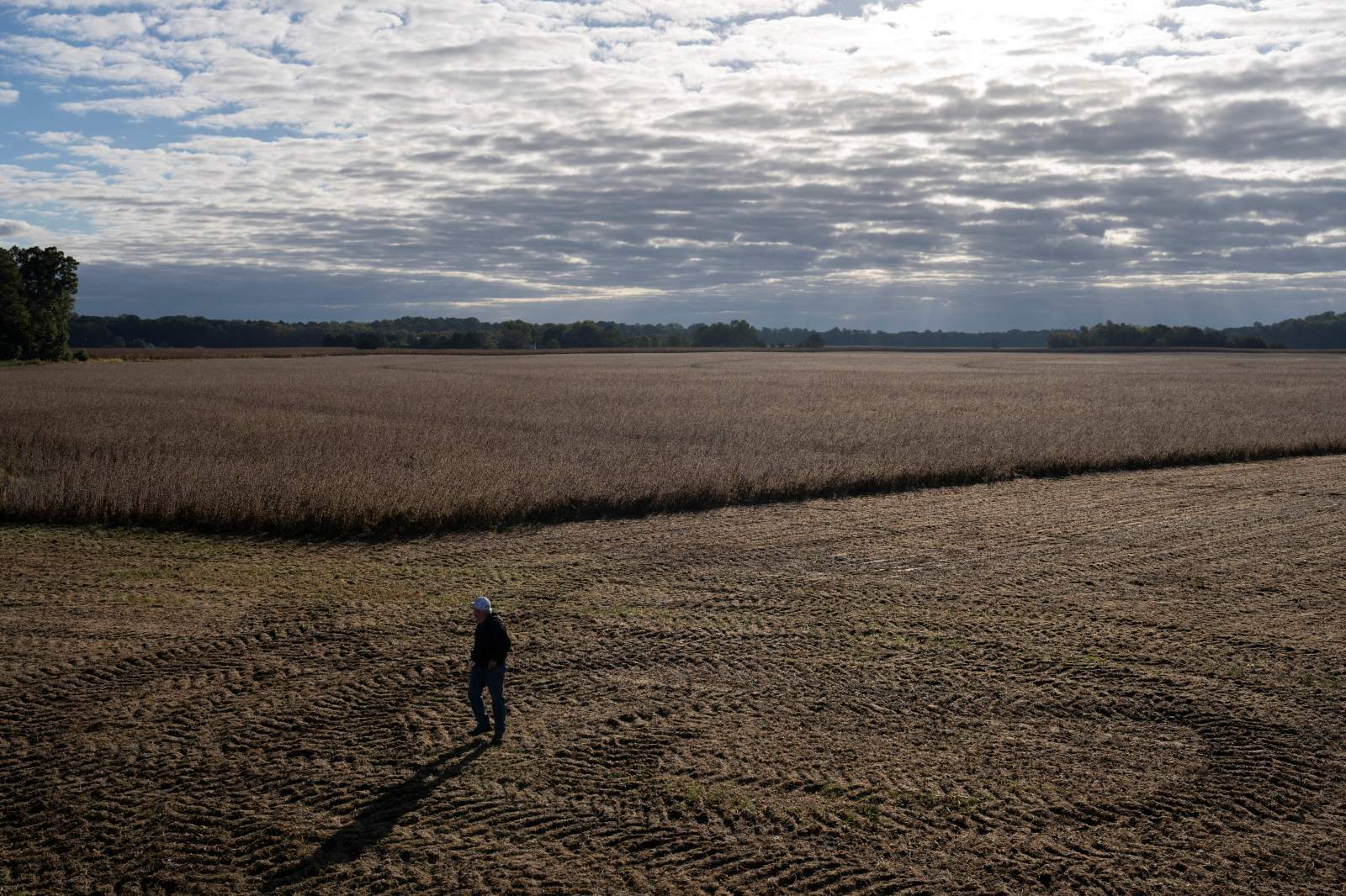 newsweek.com - Brooke L. Rollins and Robert F. Kennedy Jr. - Agriculture and HHS Secretaries: President Trump Delivers a Huge Win for Healthy Farming | Opinion