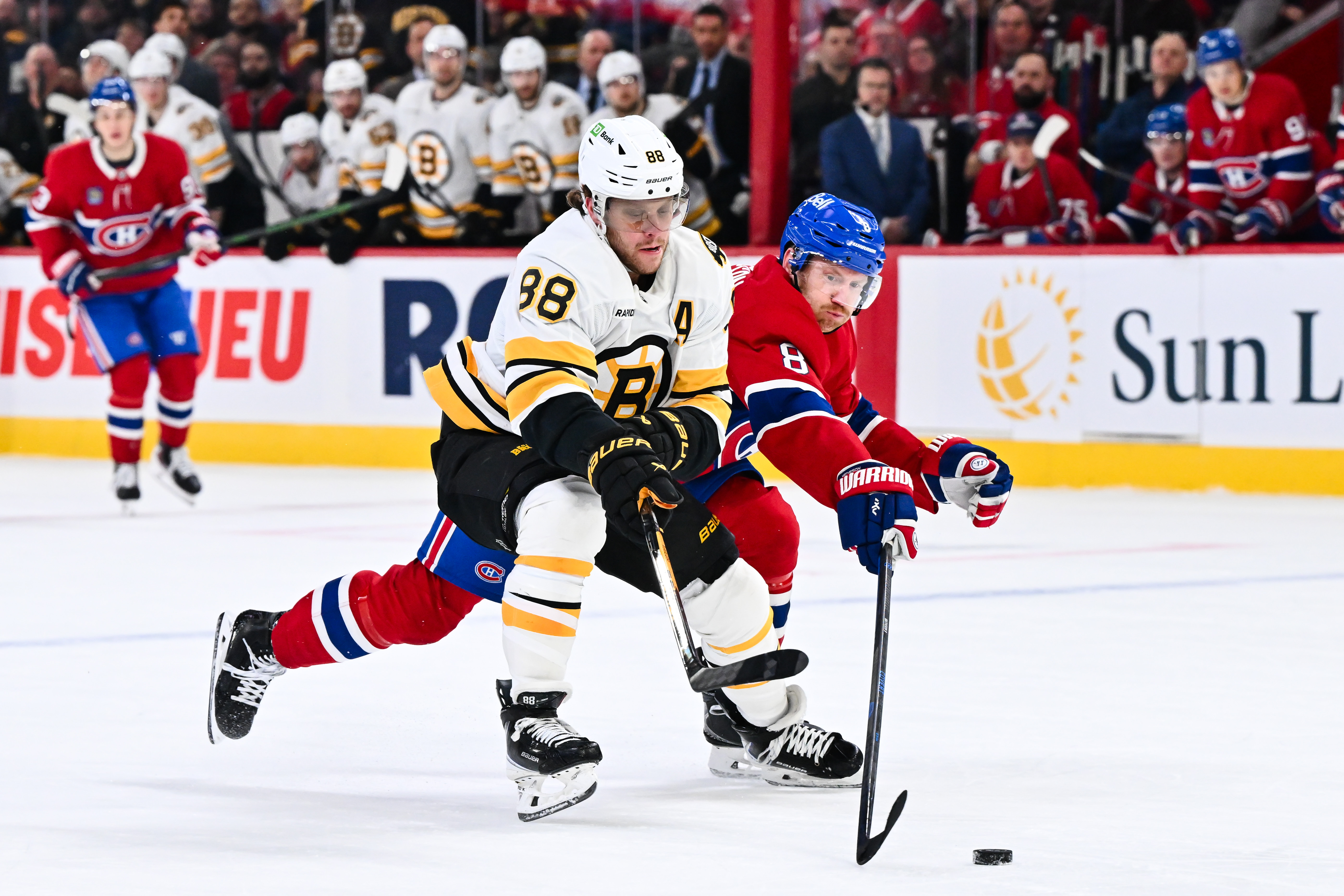 How to Watch Bruins vs Canadiens: Live Stream NHL, TV Channel