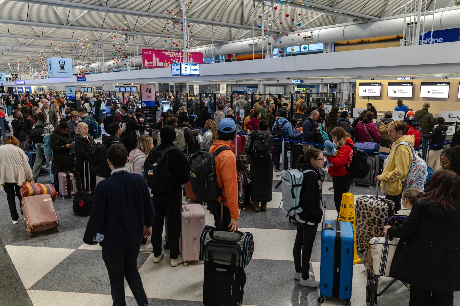 Holiday Travel Scam Warning Issued to Americans