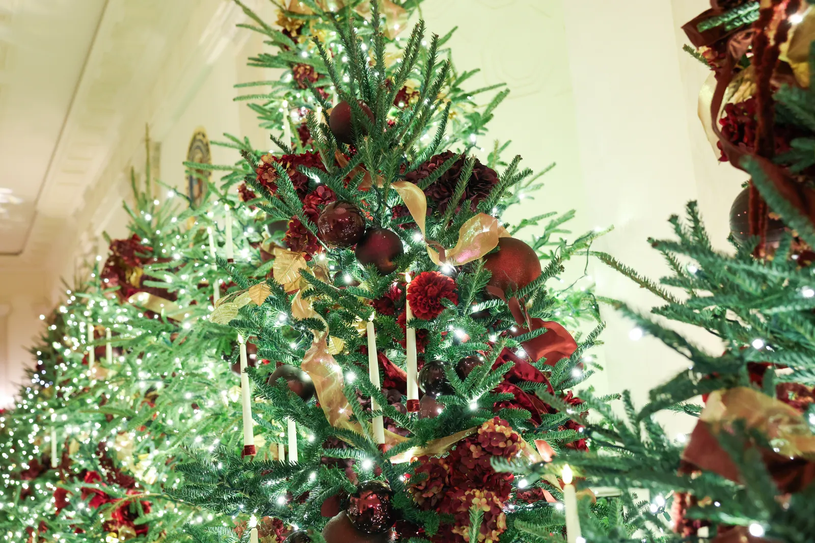 Holiday Cheer or Political Strategy? Trump's Christmas Tree Cost Savings Initiative