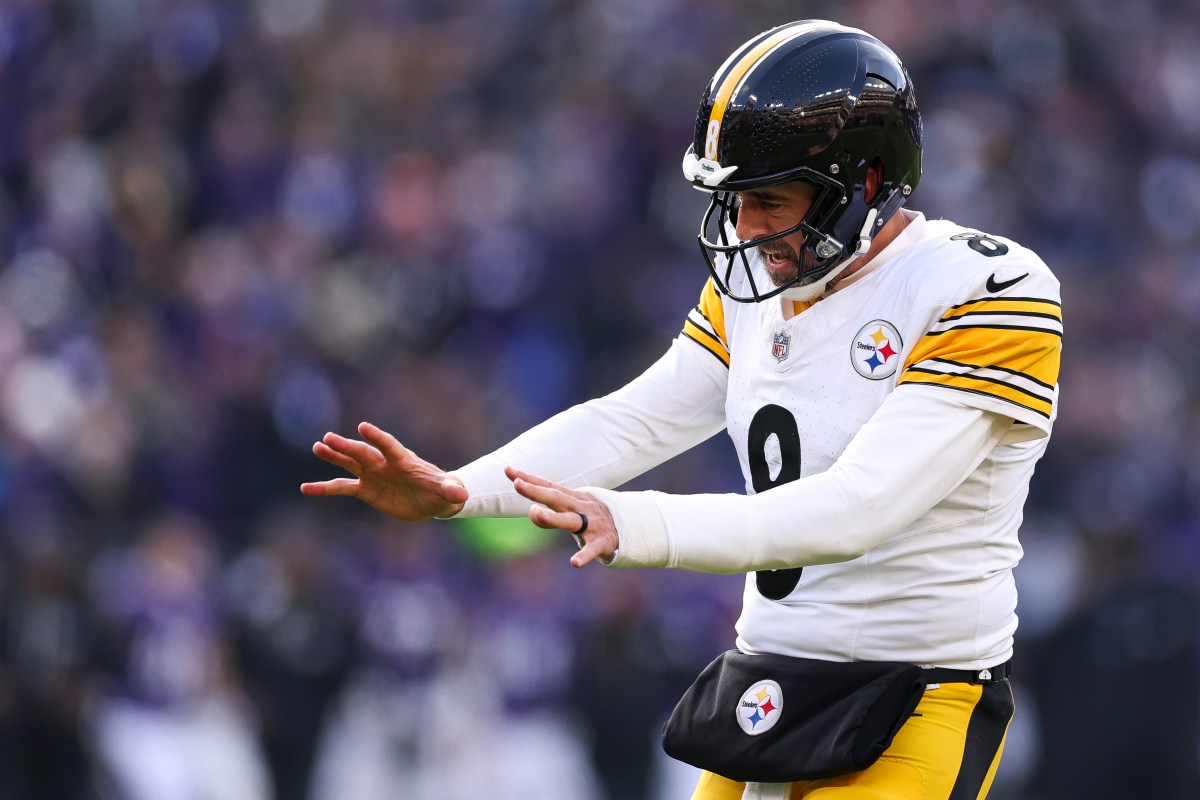 Parece que Aaron Rodgers está dando um soco no Steelers WR.