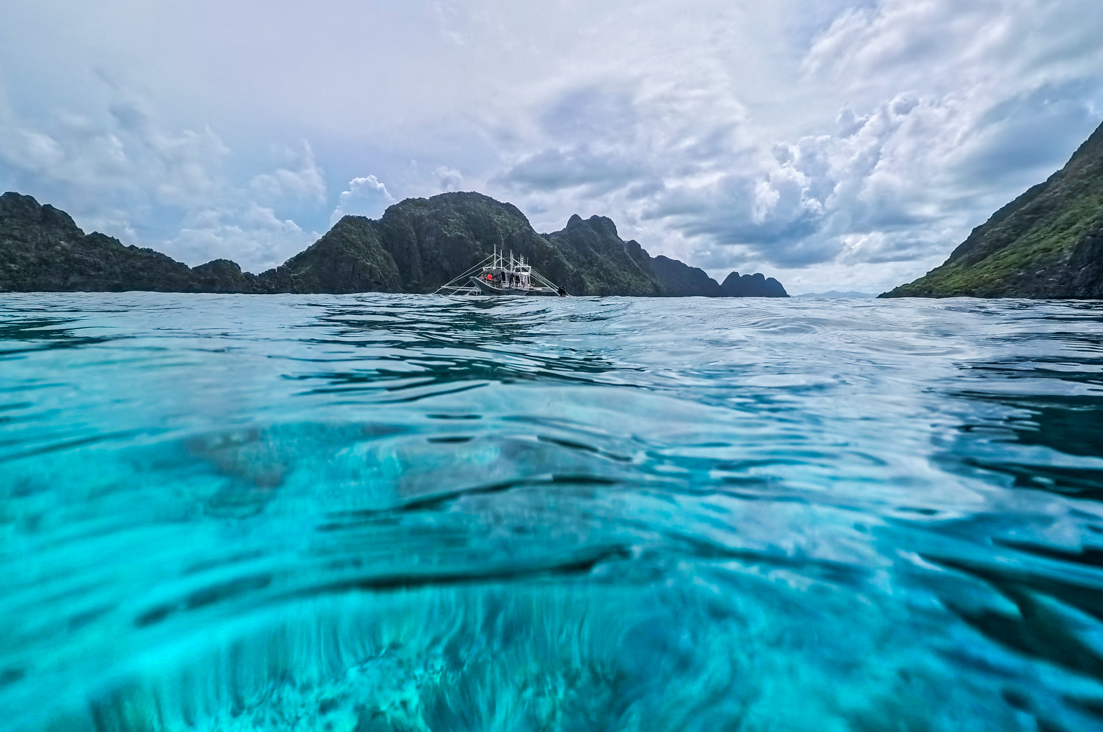 Man Oblivious to Near-Death Experience With Animal That Can Kill in Minutes