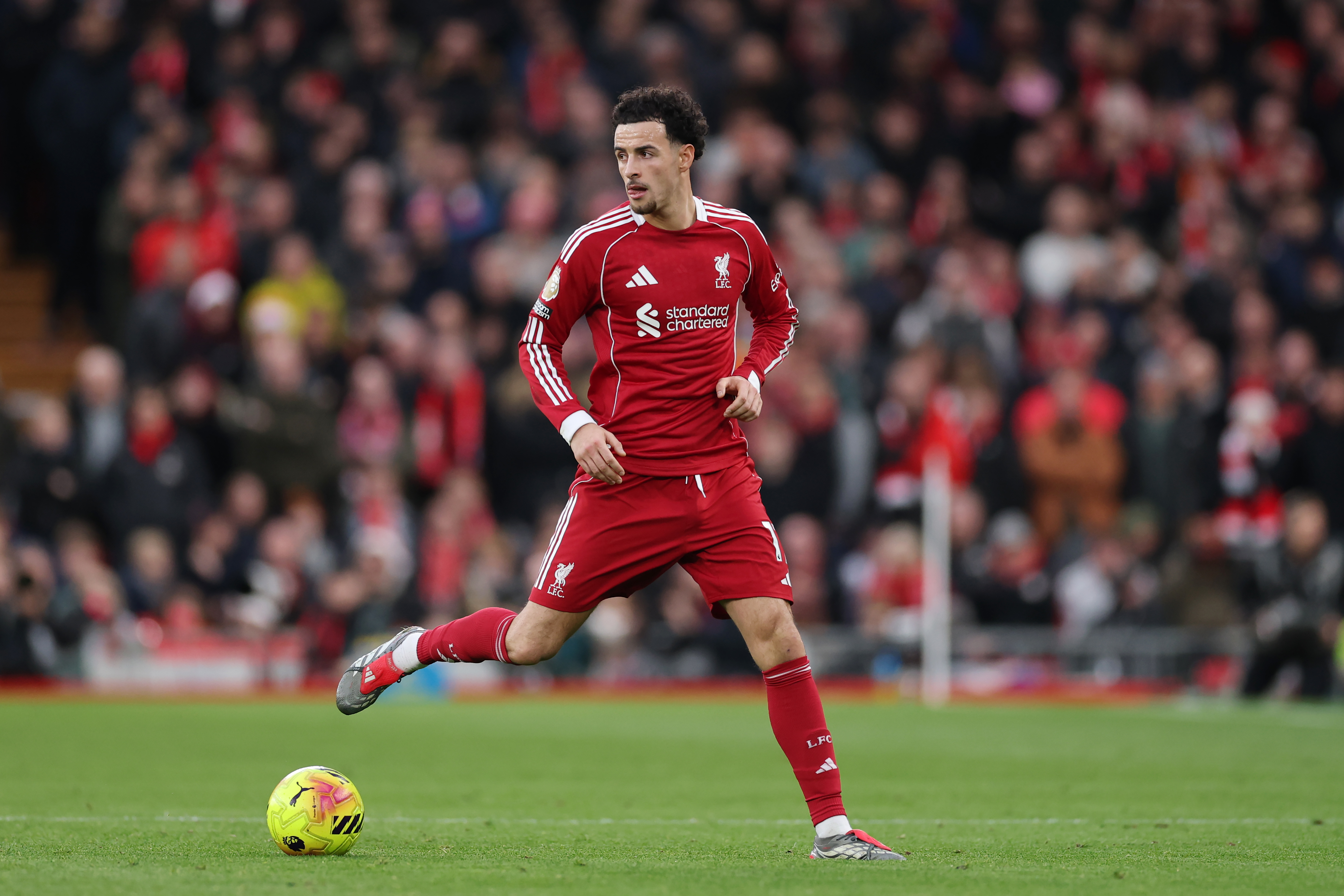 How to Watch Tottenham Hotspur vs Liverpool: Live Stream Premier League, TV Channel