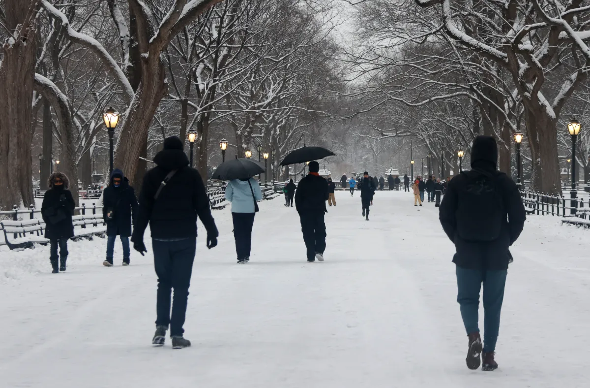 Winter Storm Warning for Millions As Bomb Cyclone Set To Hit - Newsweek