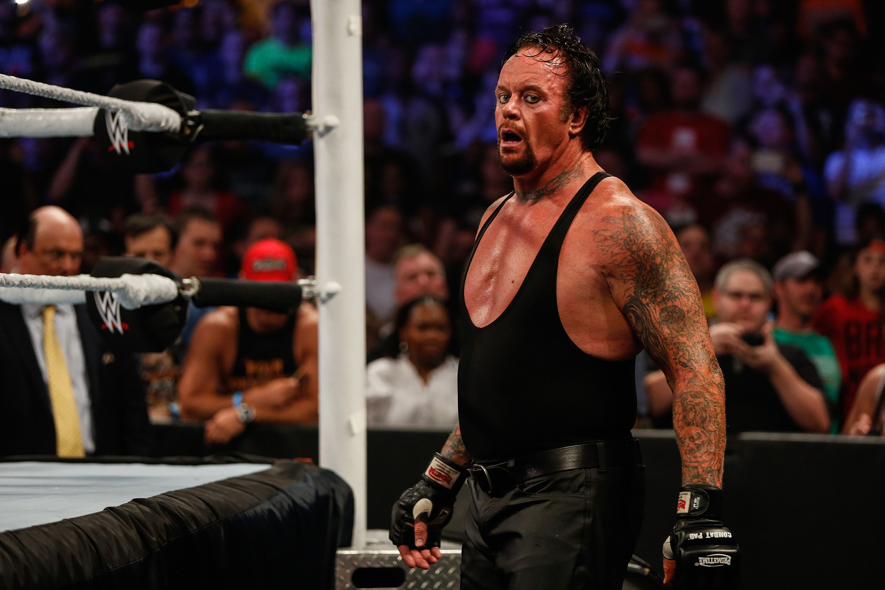 WWE’s The Undertaker Drops Cryptic Message Sparking Royal Rumble Buzz