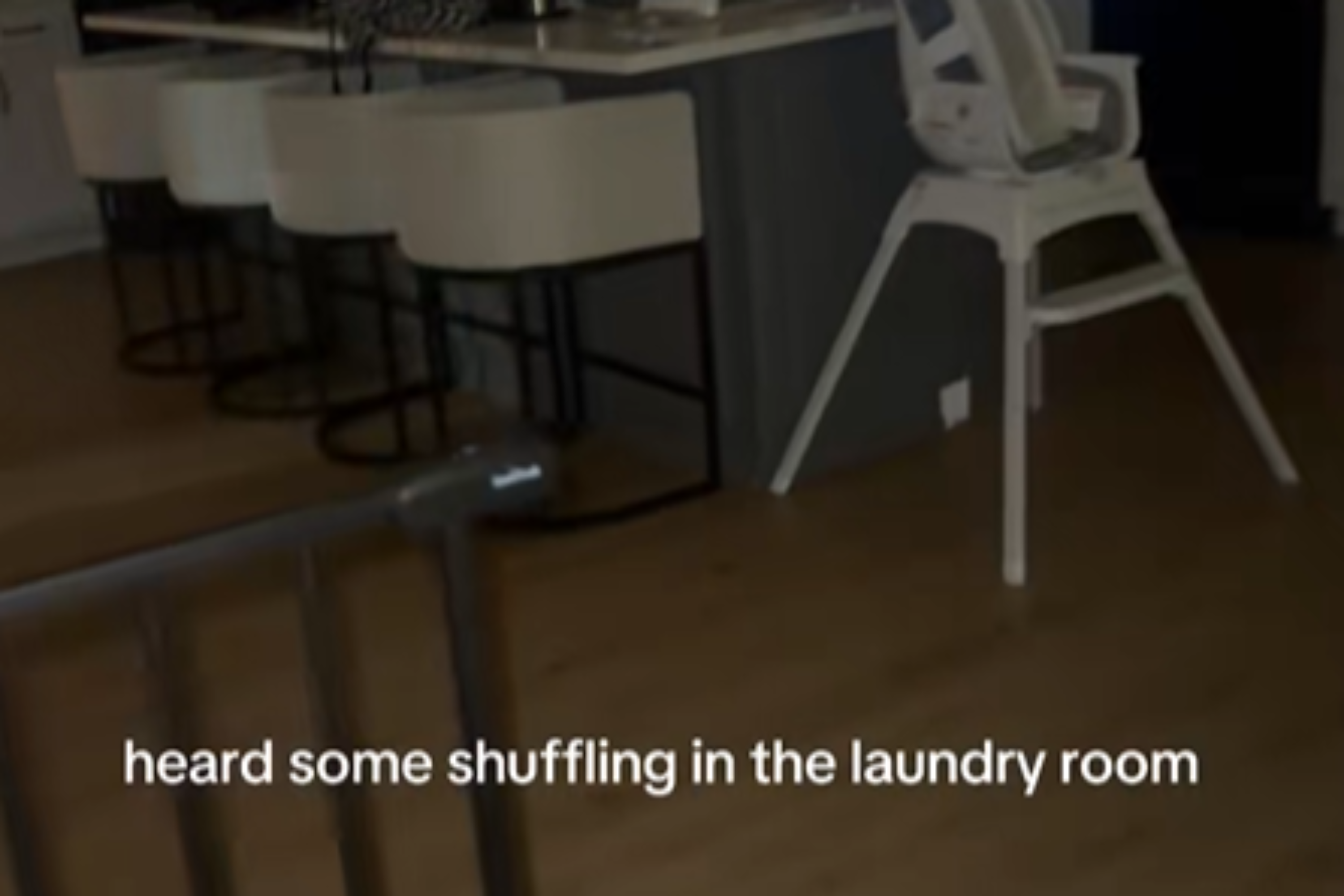 Mom Hears Noise From Laundry Room at 11:30PM, Not Prepared for Who’s There