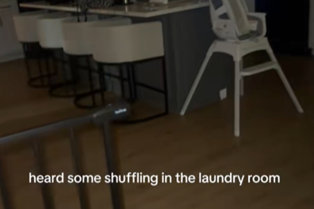 Mamá escuchó ruidos en la lavandería a las 11:30, no estaba preparada para lo que sucedió