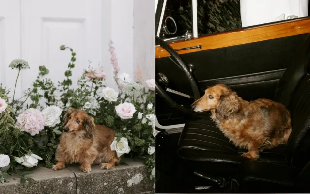 Jade Greenbrooke llevó a River a algunas de las bodas en las que trabajó.