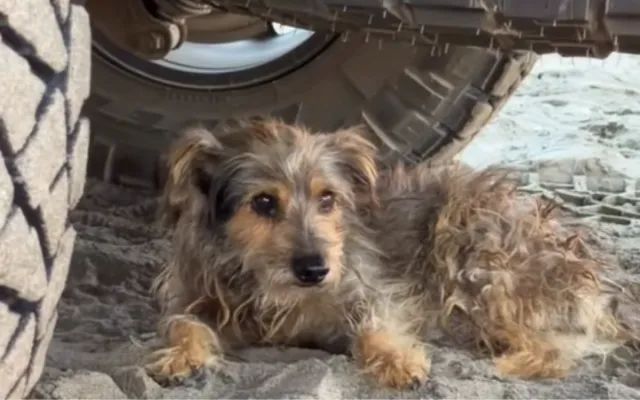 Tiw embaixo do carro