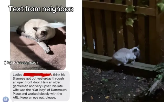 The text Julie received and where Ariel was found.