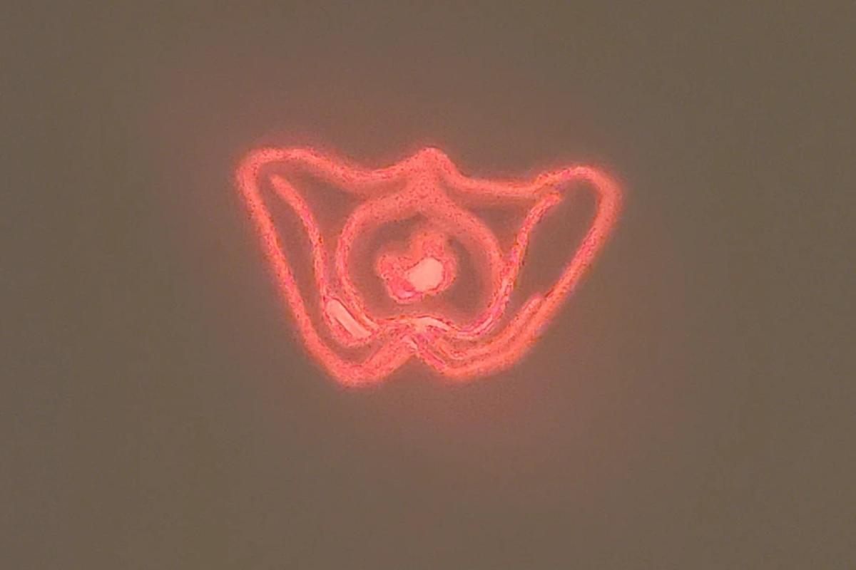 Mamá no podía hacer fotografías de lo que mostraban los juguetes de su hija, entonces se dio cuenta