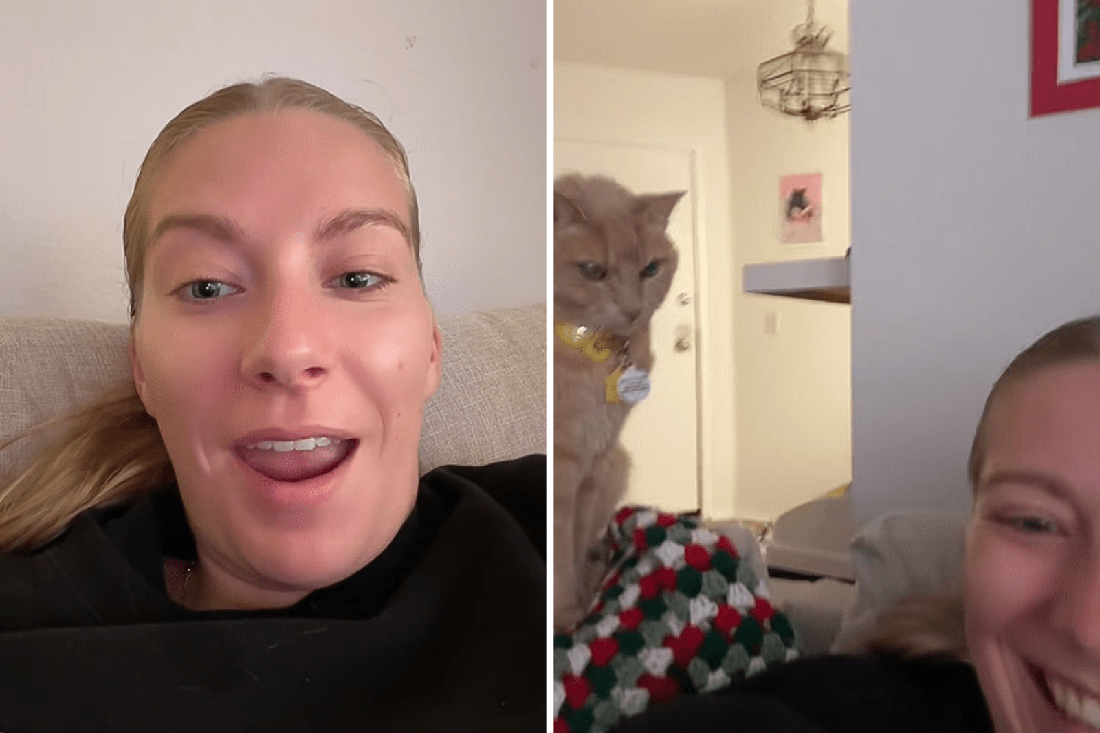 newsweek.com - Rachael O'Connor - Cat owner has to ban food before vet procedure-he makes his feelings clear