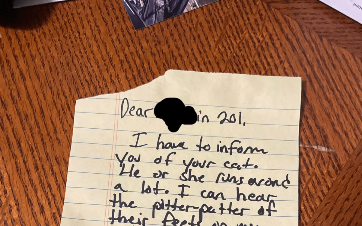 Man Pens Note To Neighbor Upstairs About Noisy Cat&mdash;But There&rsquo;s A Twist