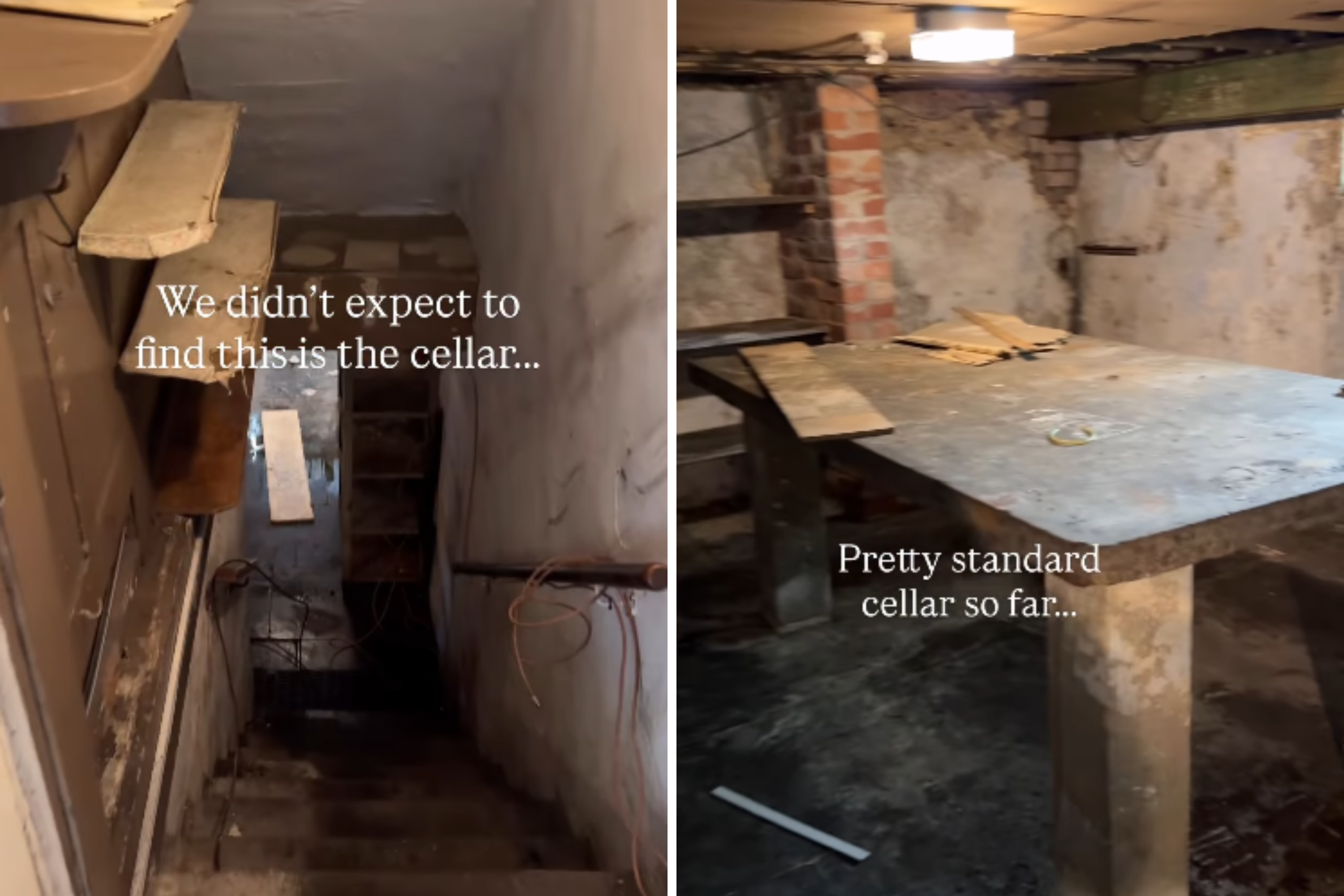 Couple Viewing New Home Go Down to Cellar—Never Imagined What They’d Find