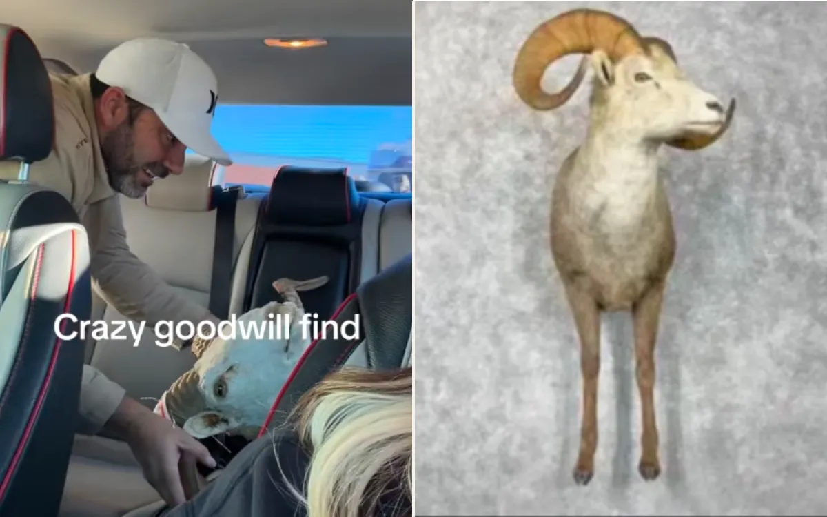 Gracie Wiggins and the doll sheep.