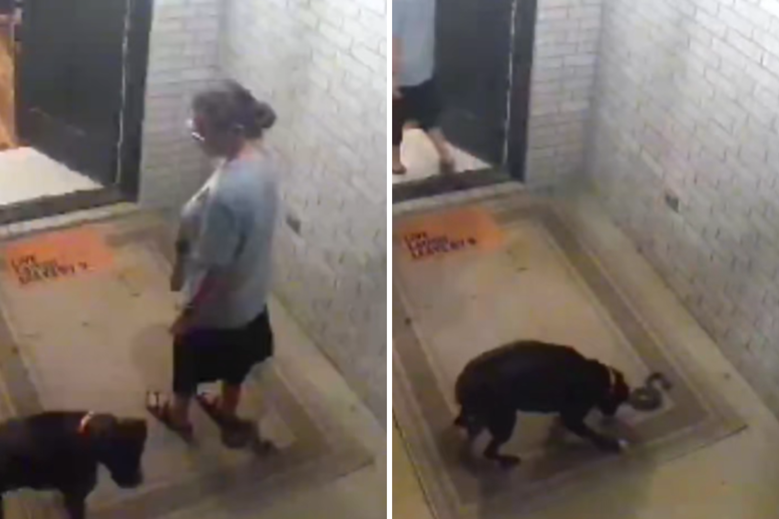 Horror As Ring Cam Shows Woman on Porch, Oblivious to What’s Inches Away