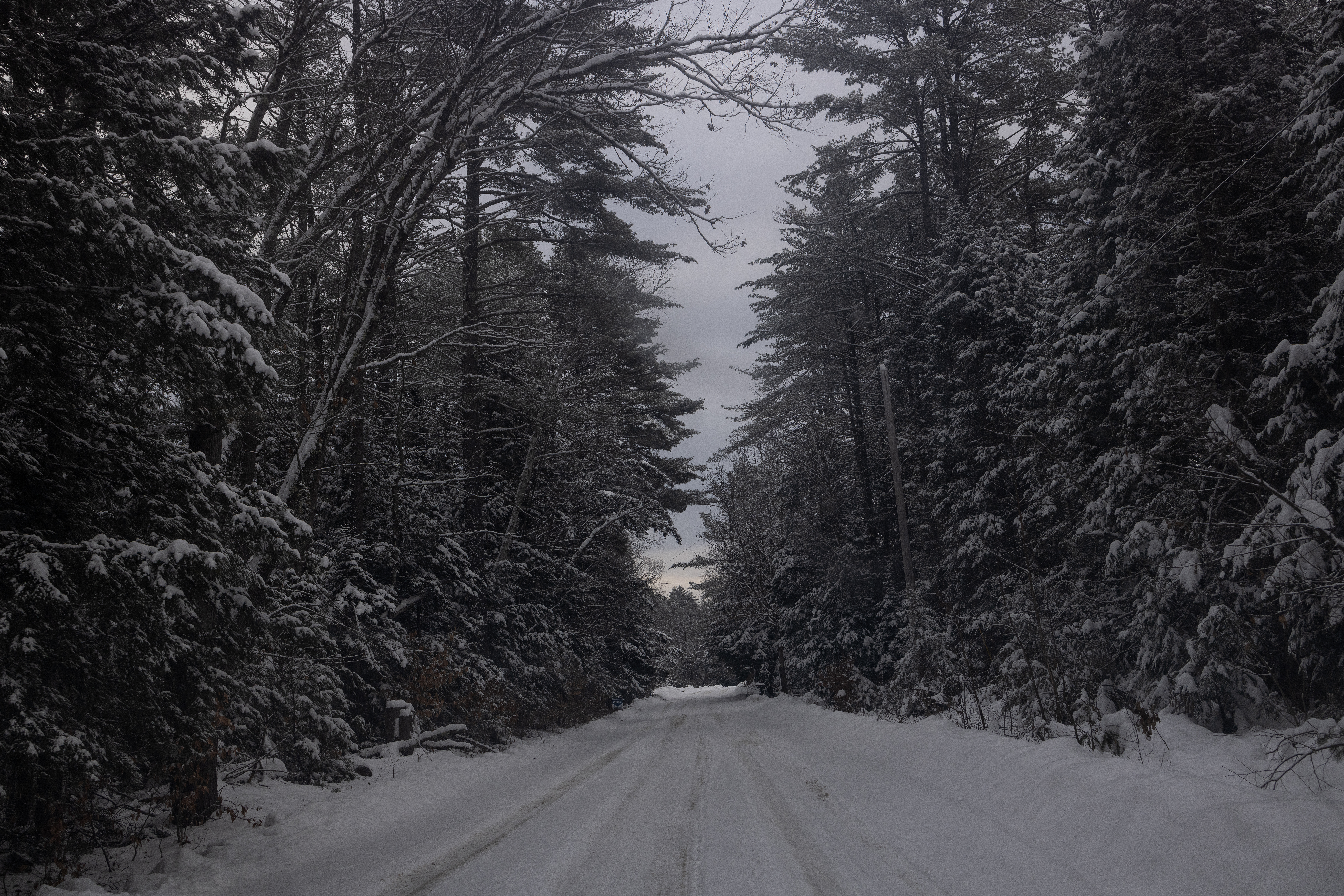 Winter Storm Warning as 16 Inches of Snow Threatens Christmas Travel
