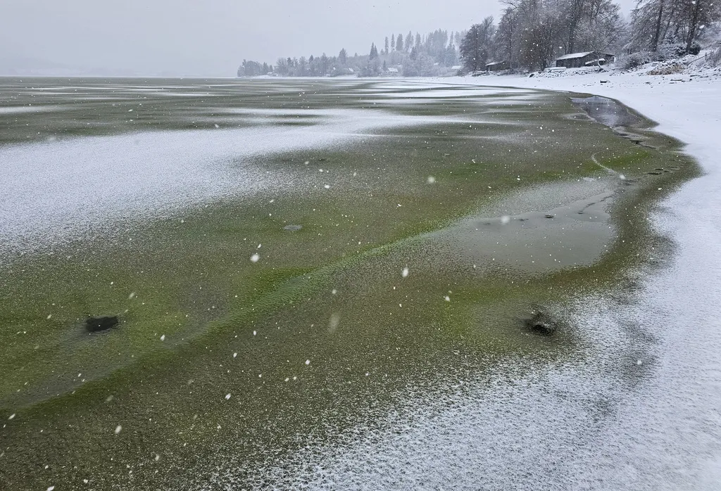 Scientists Capture Rare ‘Green Ice’ Covering Lake