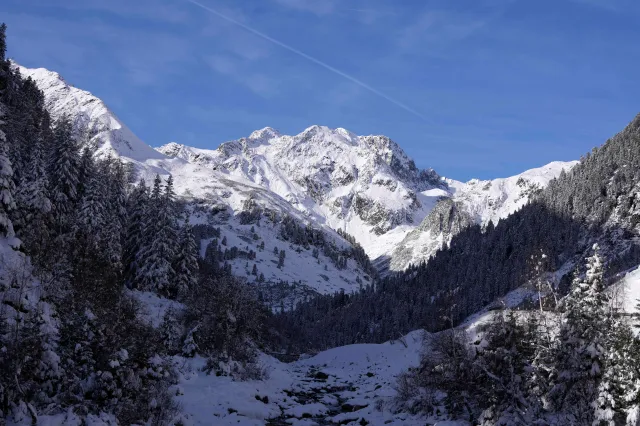 Series of Avalanches Kills Eight in Austria: What to Know