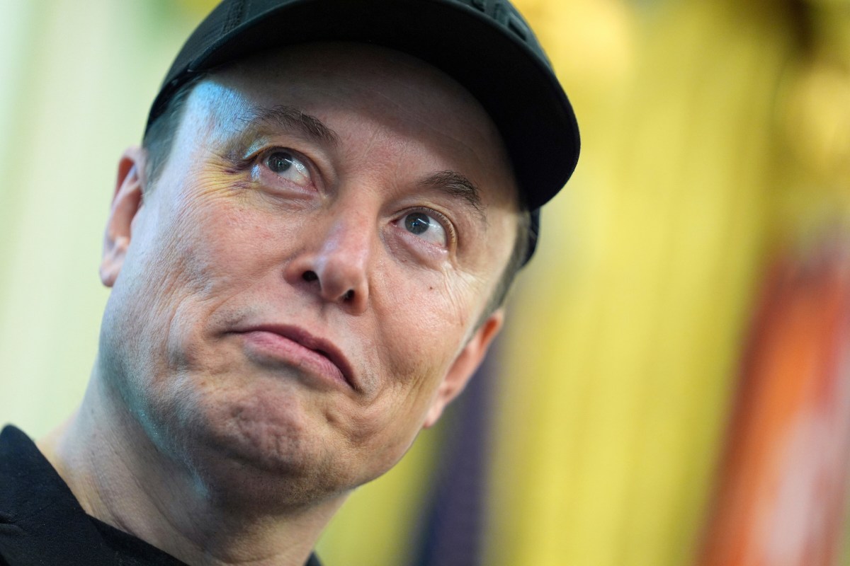 Elon Musk's Custody Battle: A Complex Intersection of Parental Rights and Social Media Influence