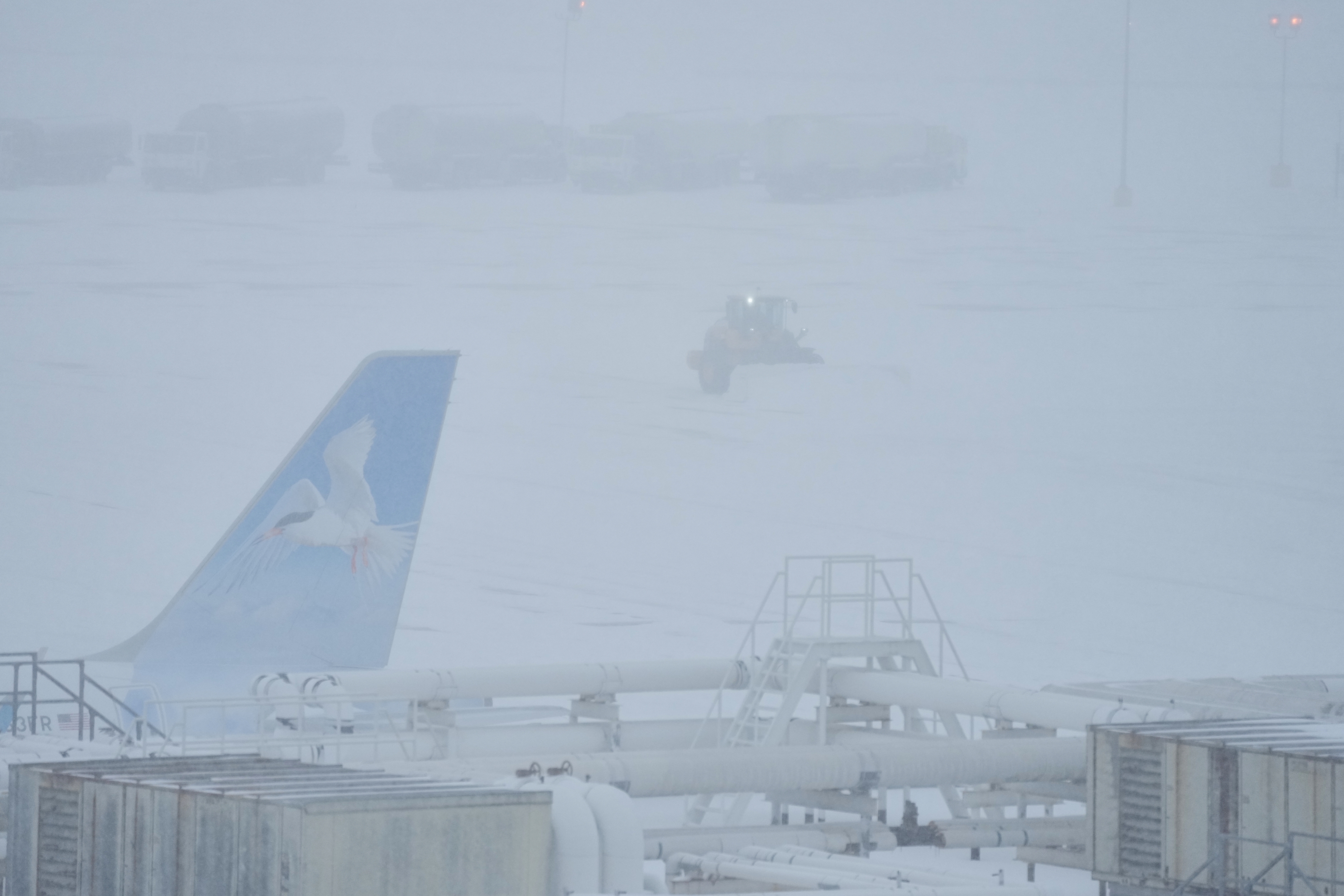 Dozens of Airports Close as Winter Storm Fern Cancels Thousands of Flights