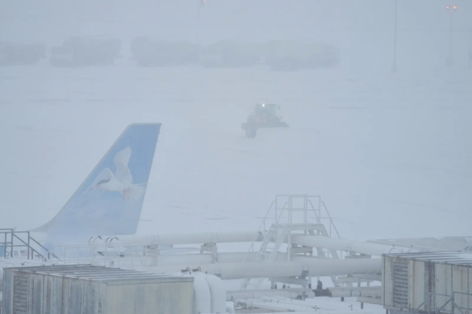 Dozens of Airports Close as Winter Storm Fern Cancels Thousands of ...