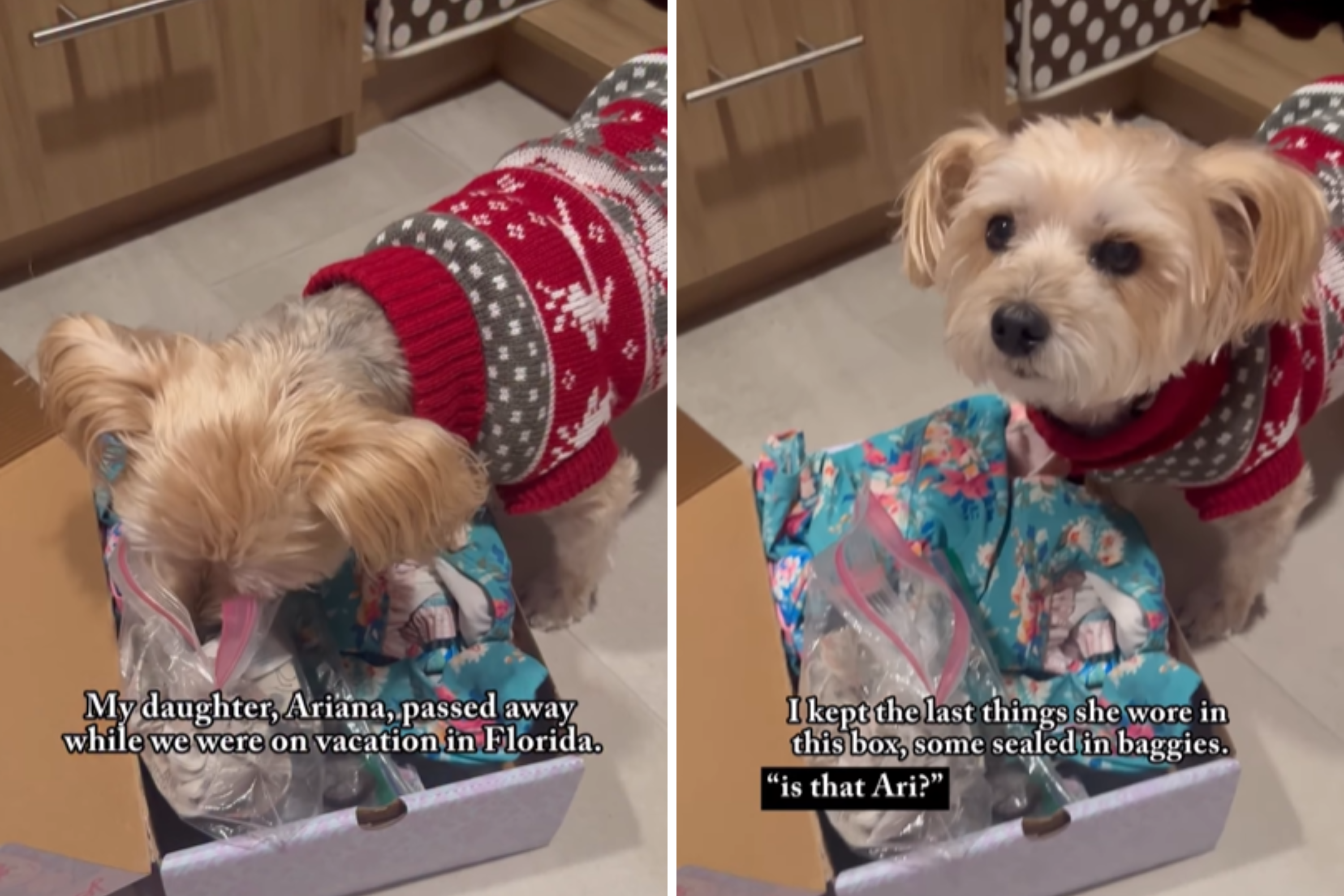 Heartbreak as Mom Lets Late Daughter's 'Soul Dog' Smell Her Things