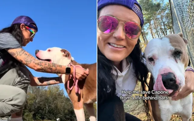 Capone and Susan Taylor.