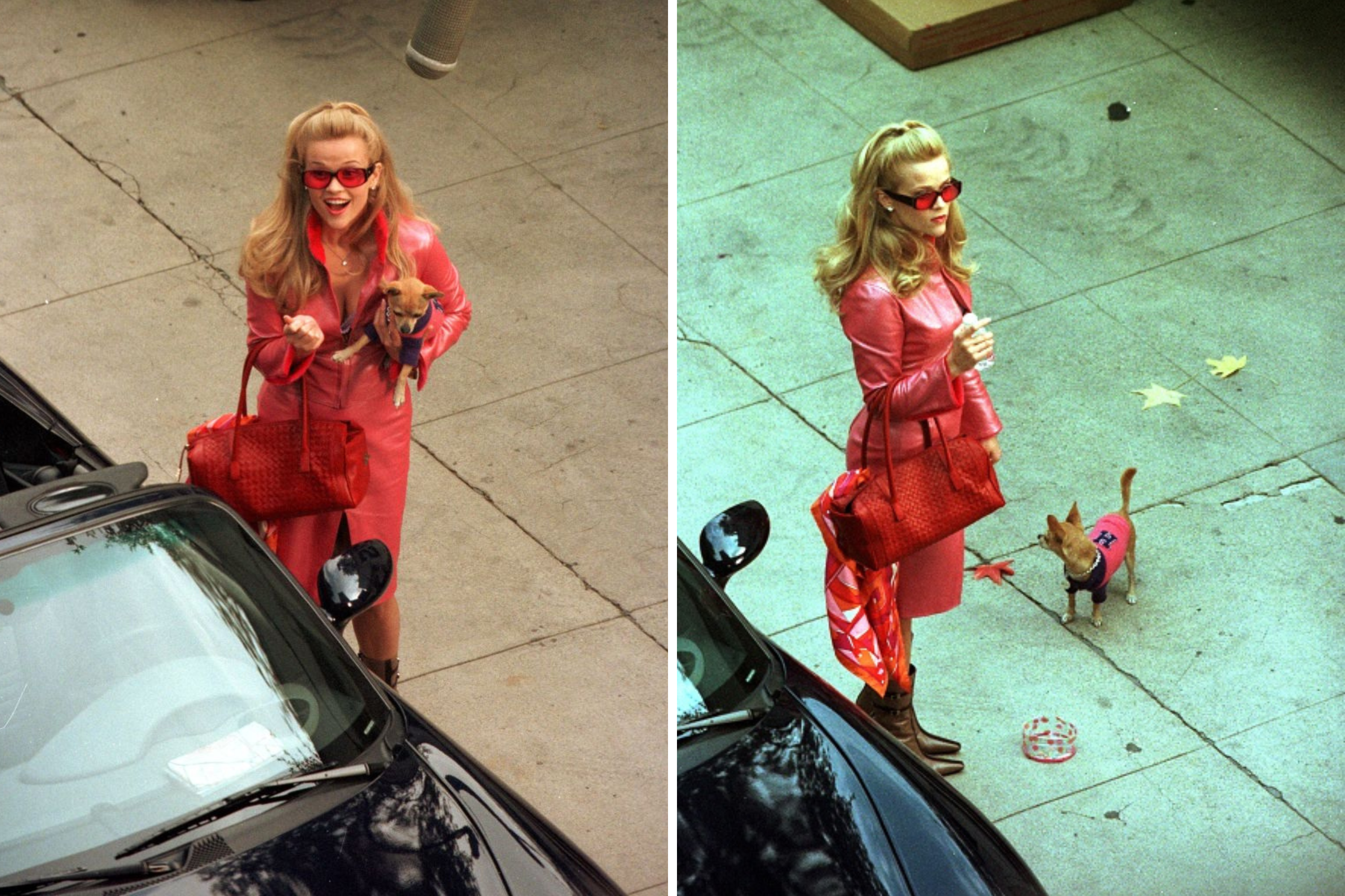 'Legally Blonde' Prequel TV Show Gets Shock Update Before It’s Even Aired