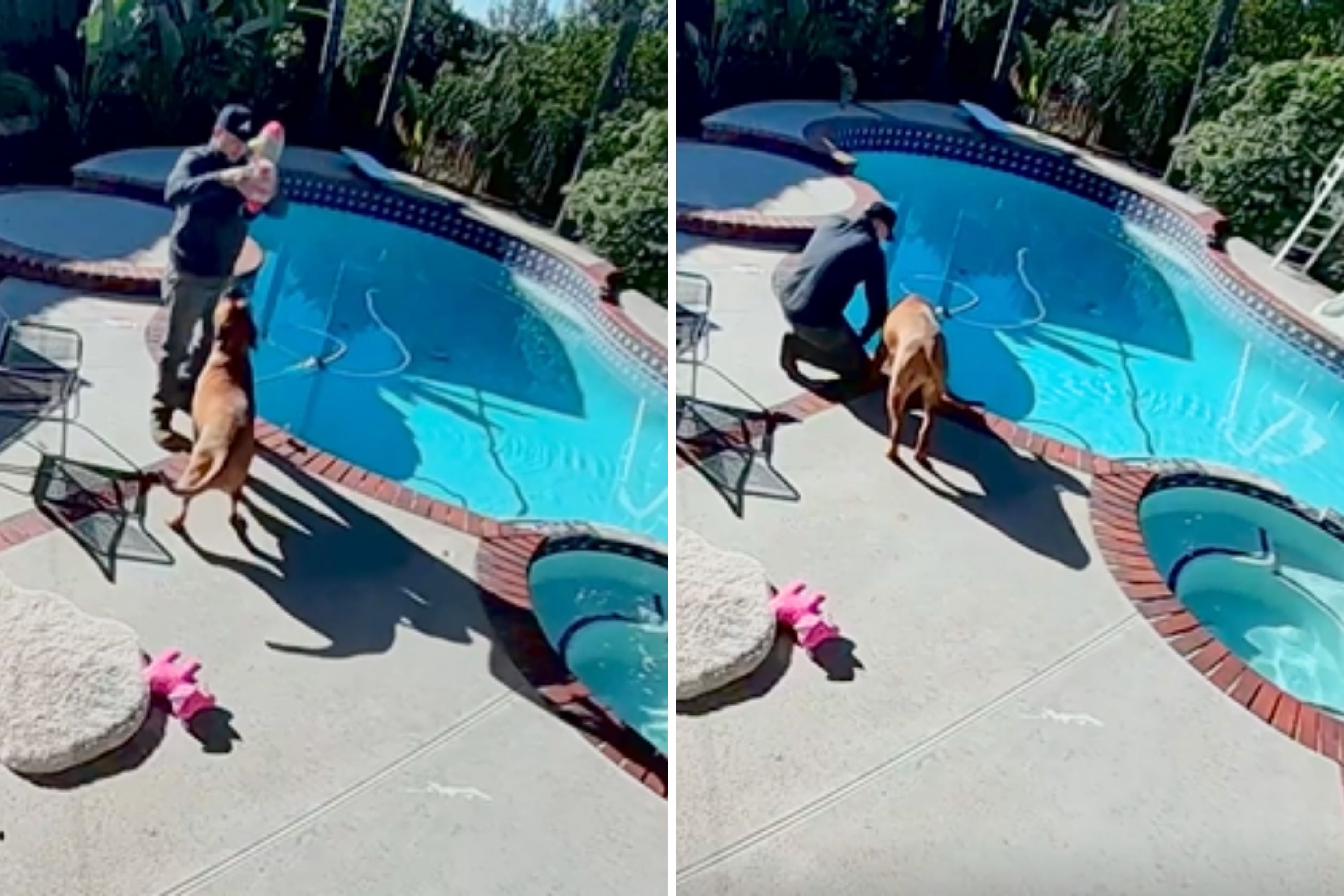 Security Cam Captures Pool Worker Arriving, Then ‘Scary Guard Dog’ Appears