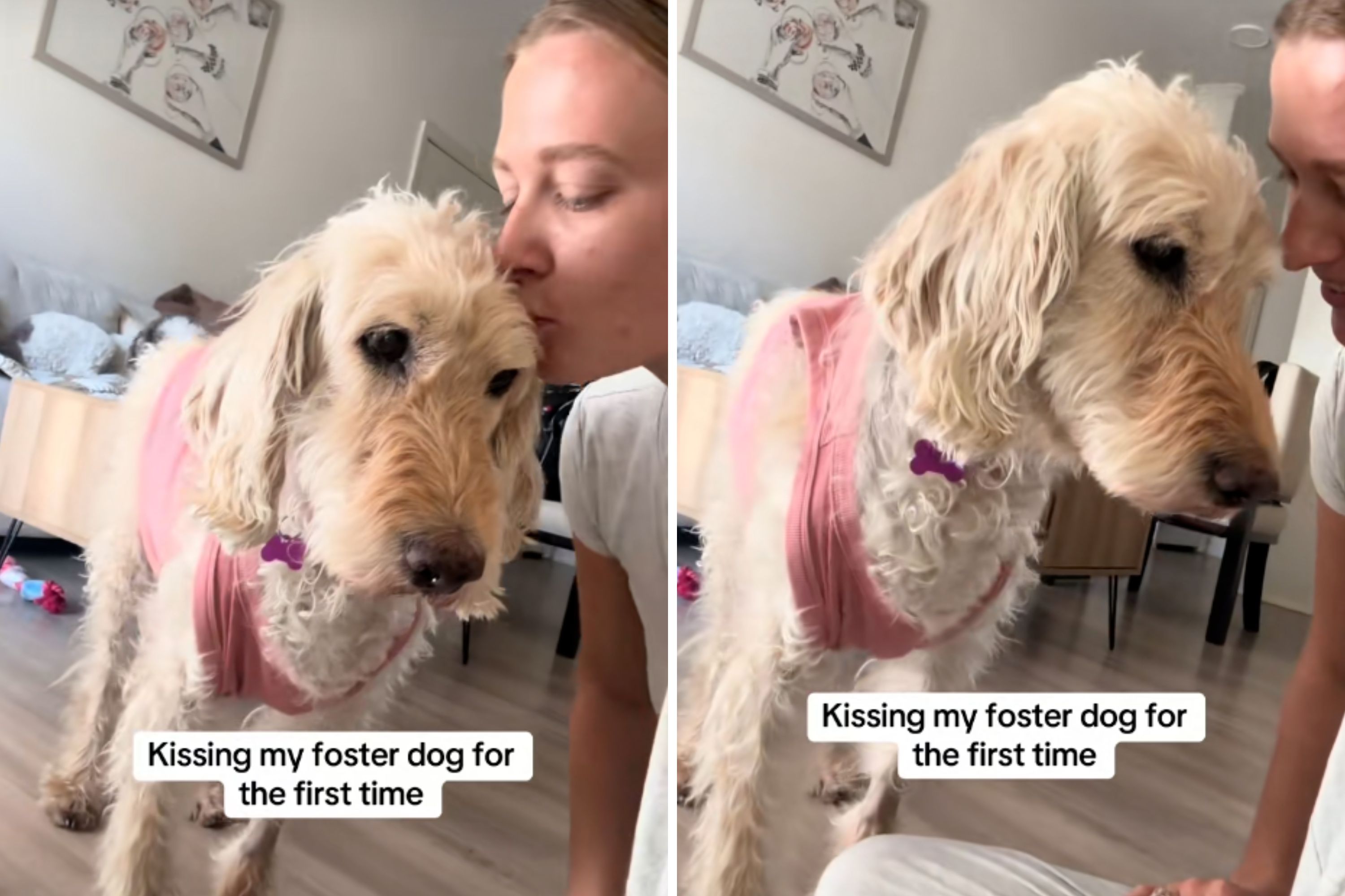 Rescue Dog Gets First‑Ever Kiss From Foster Mom—Her Reaction Melts Hearts