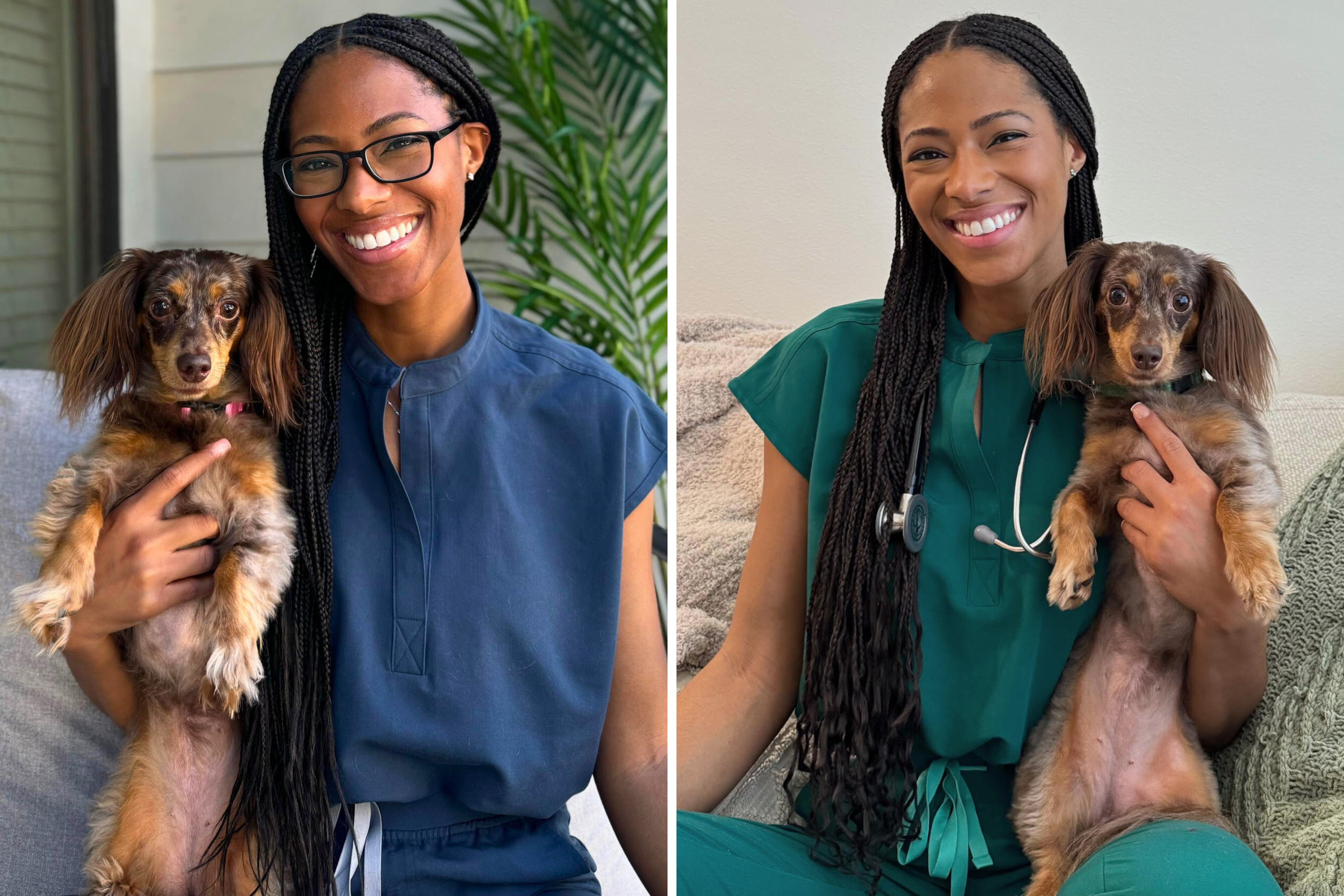 Vet Unapologetically Shares Her Favorite Dog Breed: 'Won't Be Explaining'