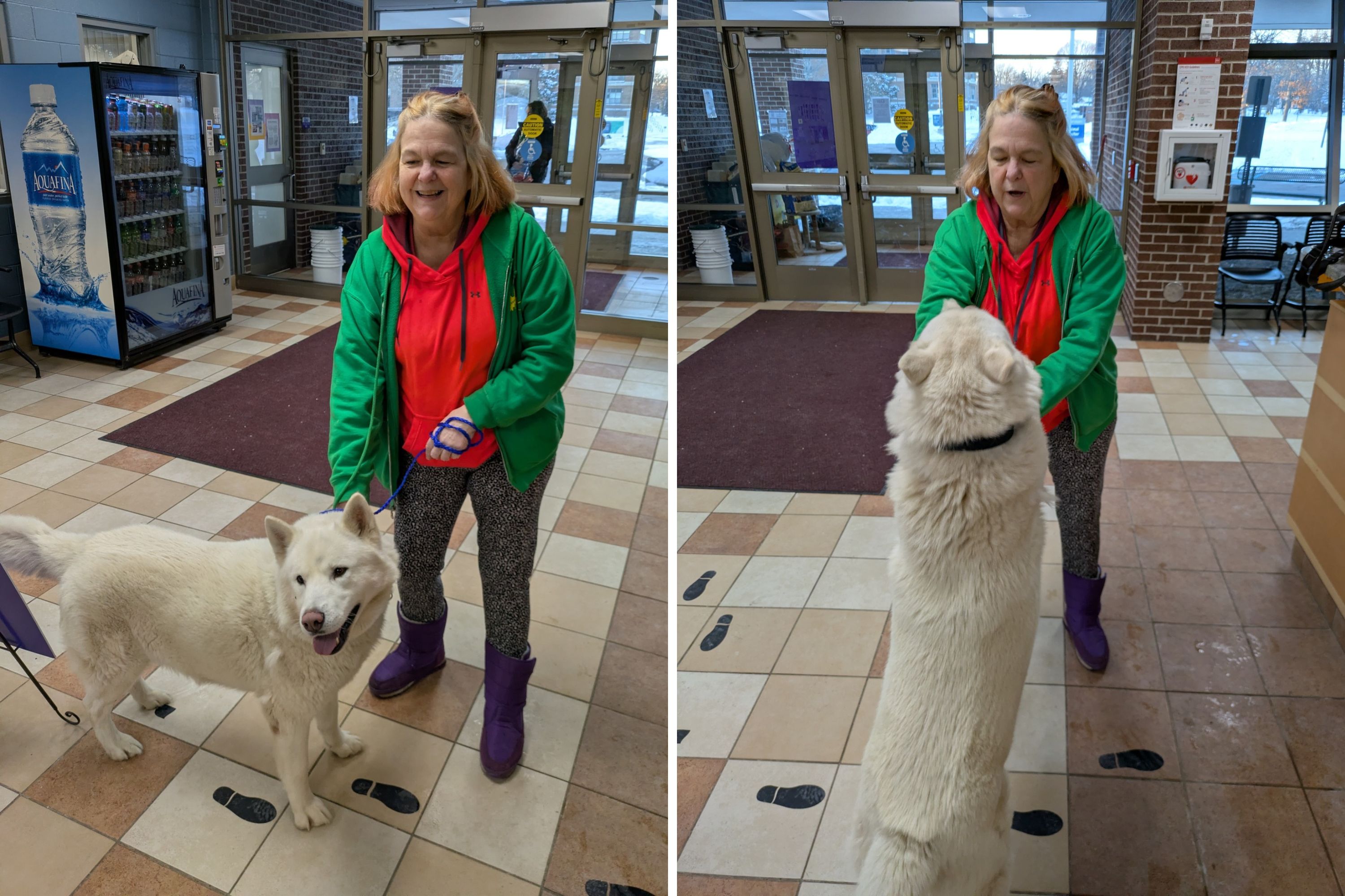 Woman Searches Over Year for Missing Dog—Then Gets Call From 50 Miles Away