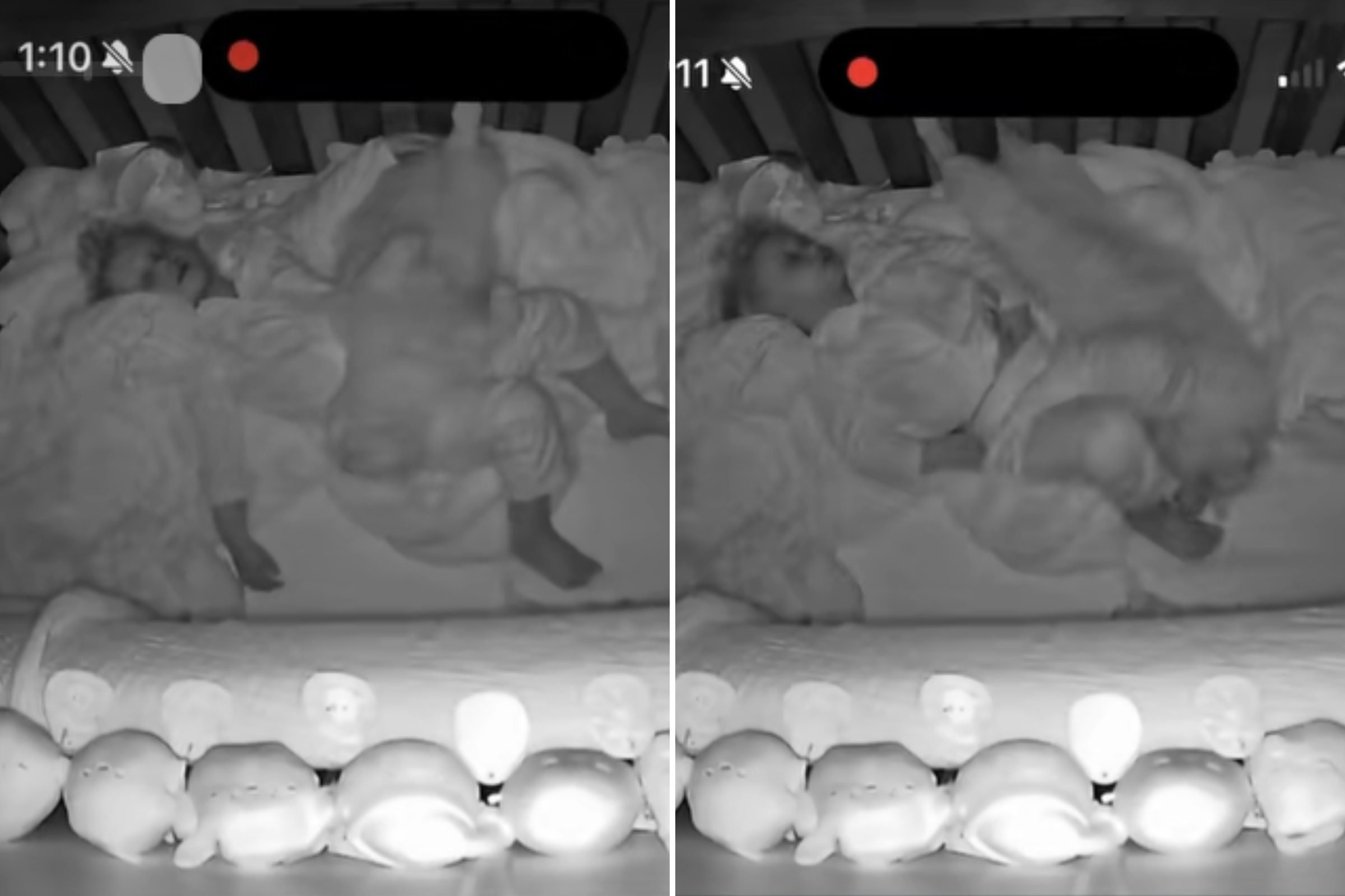 Cat Accidentally Locked in Toddler's Room at Night—Baby Cam Captures It All
