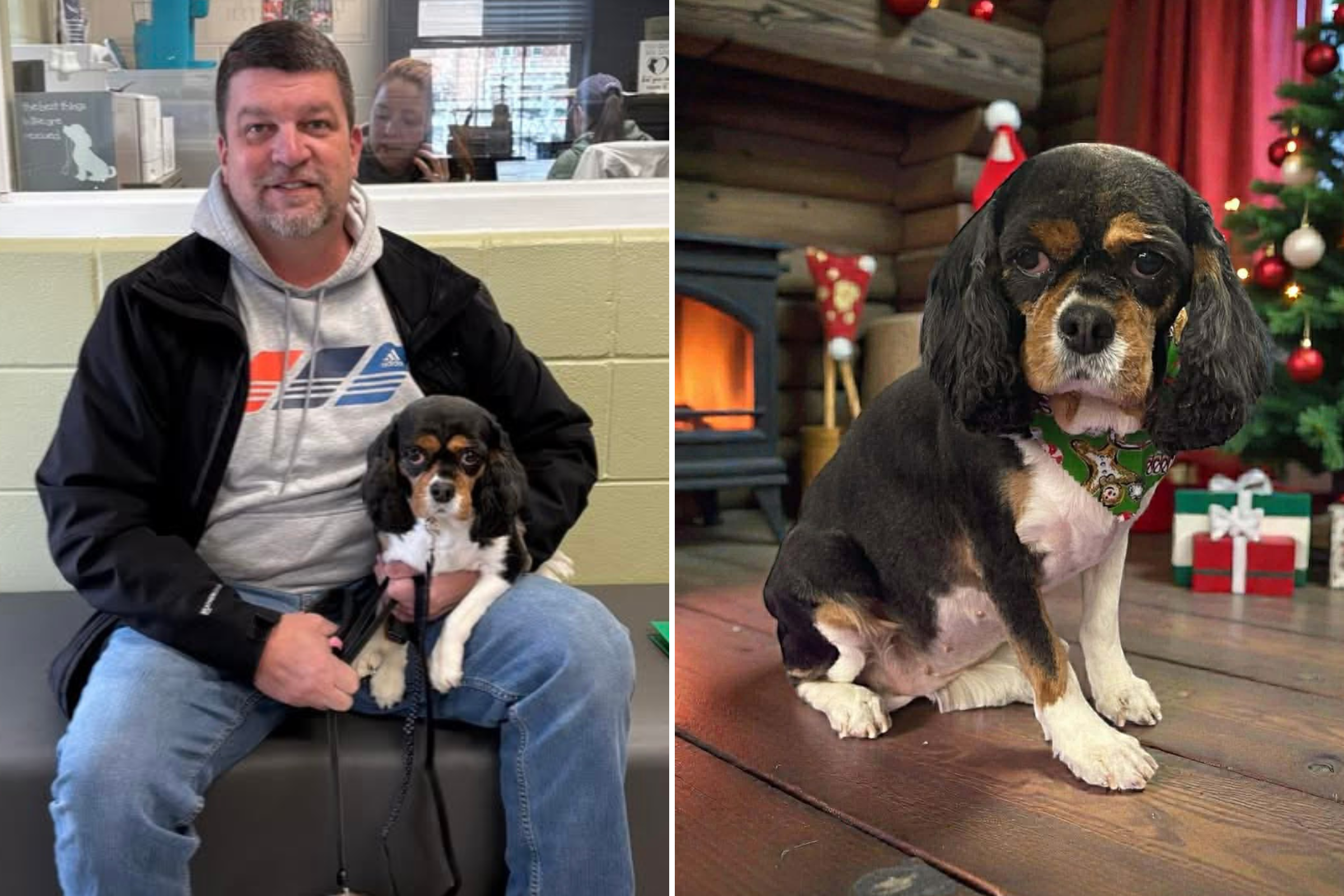 Puppy Mill Rescue Finds Forever Home—Now She's 'Learning How To Be a Dog'