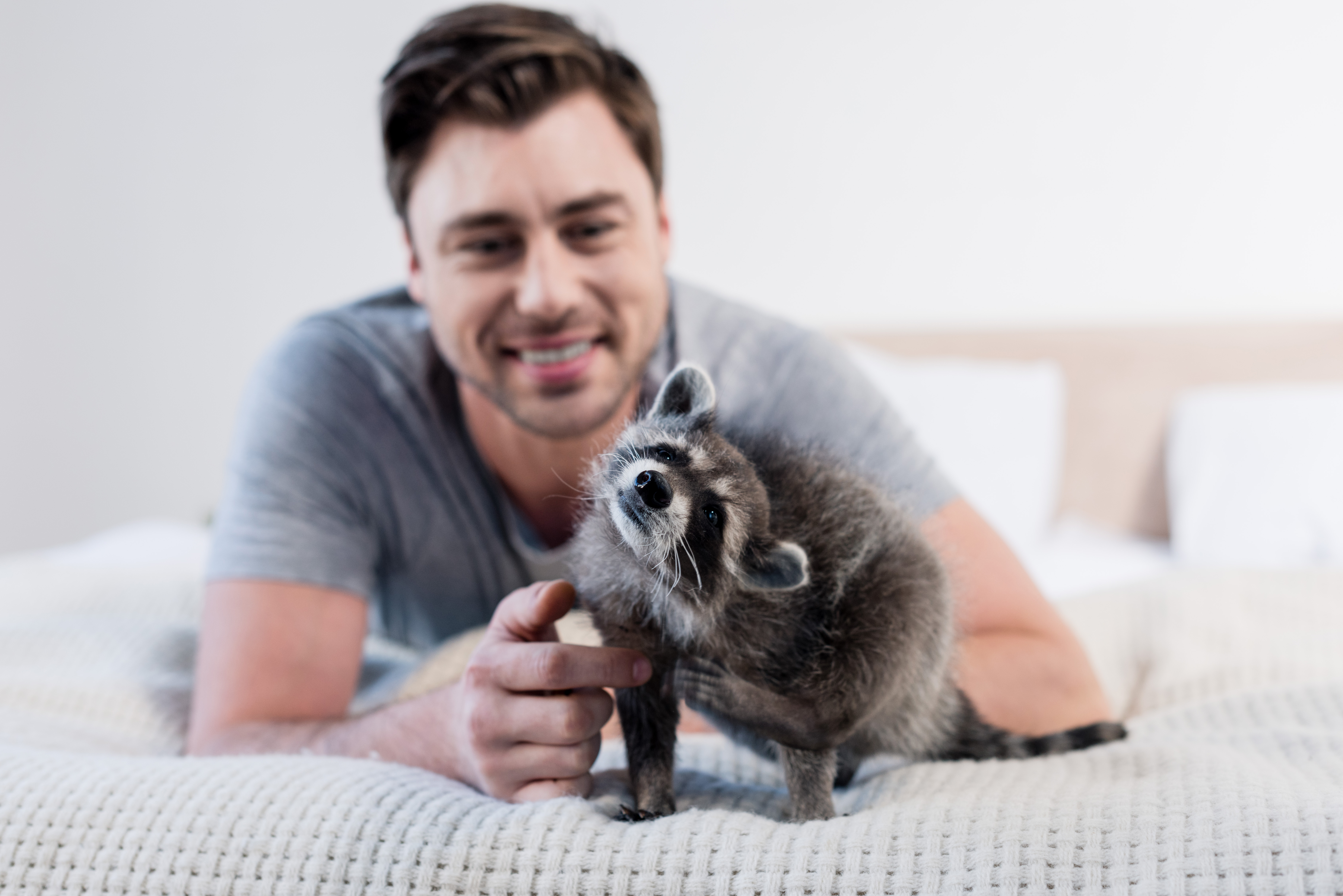 Internet Can't Cope With How 'House Raccoon' Spends His Winter Mornings