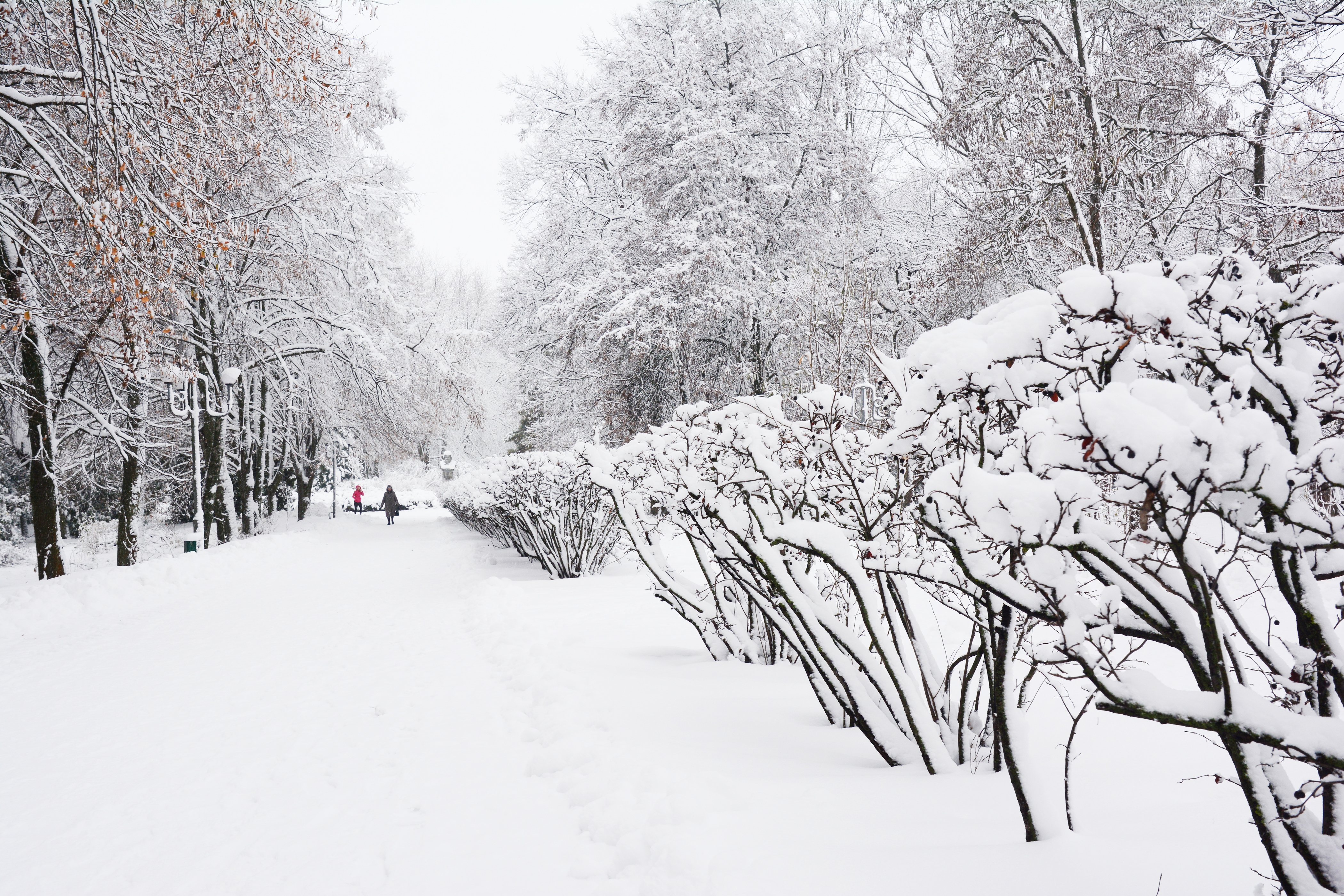 Heaviest Snow in Decades to Hit Southeast From ‘Bomb Cyclone’ Storm