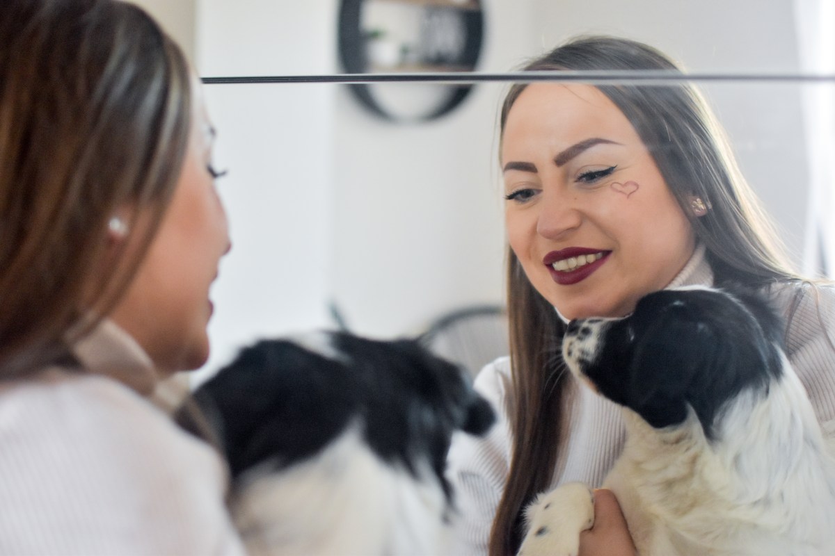 Senior Dog Notices Owner in Mirror, Owner Captures &lsquo;The Cutest Moment&rsquo;&nbsp;&nbsp;&nbsp;