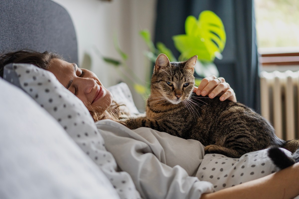 7 small morning habits that make a big difference