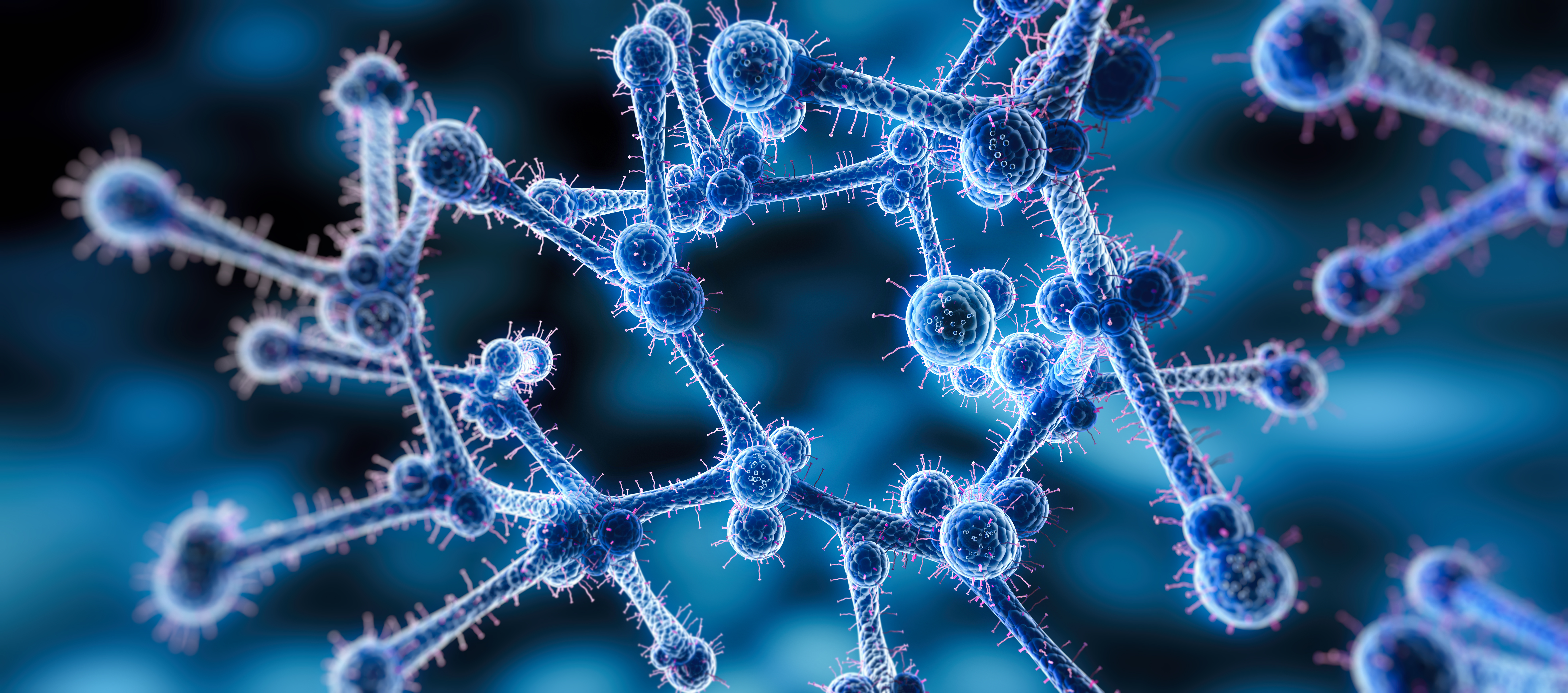 Superbug Fungus Candida auris: What To Know as US Faces ‘Alarming’ Spread