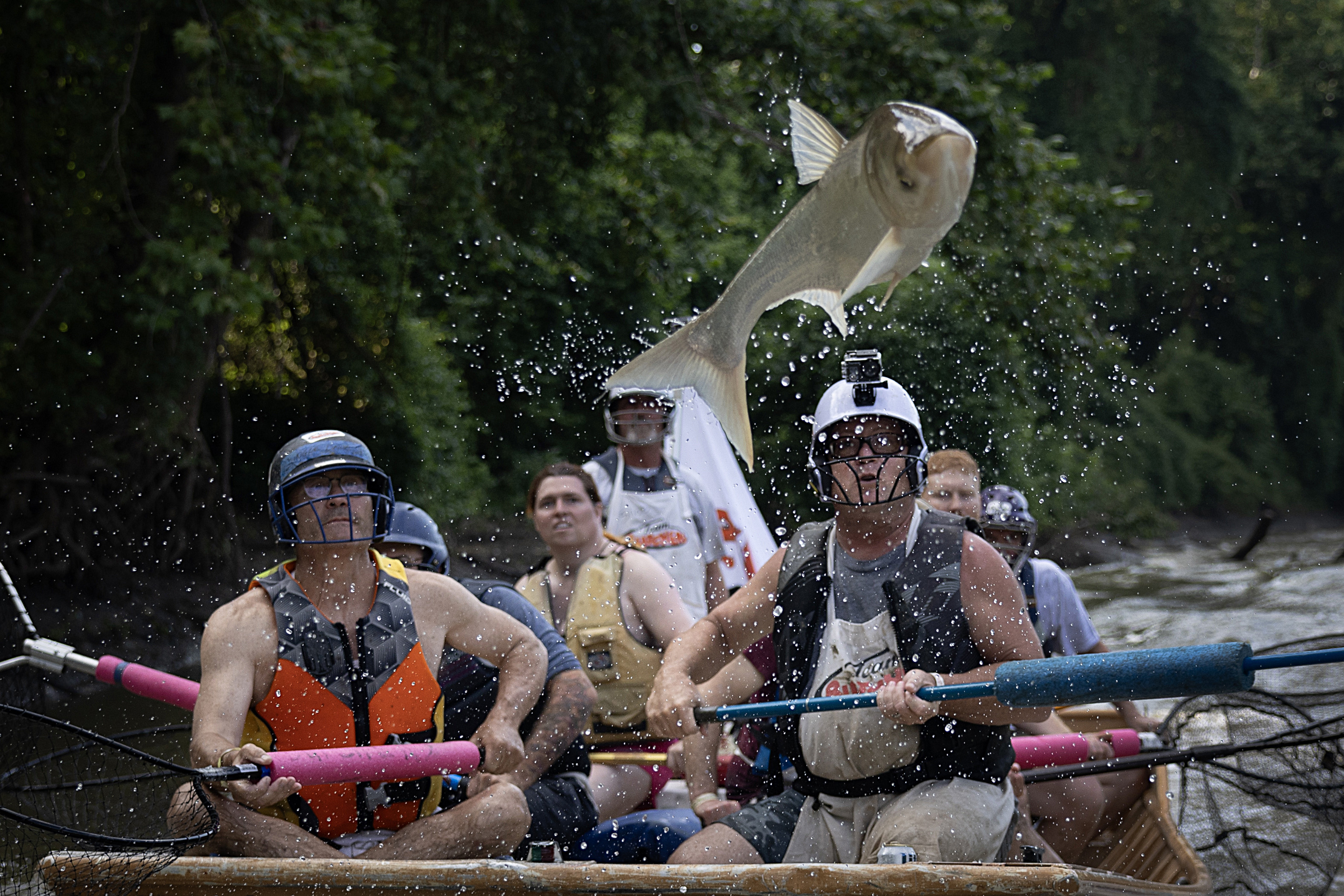 100,000 Pounds of Invasive Fish Pulled from Kansas River