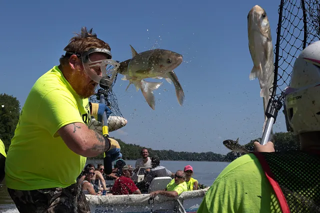 David Mobley is struck in the face by a fish during Betty DeFord's Original Redneck Fishin' Tournament on August 03, 2024 in Bath, Illinois.