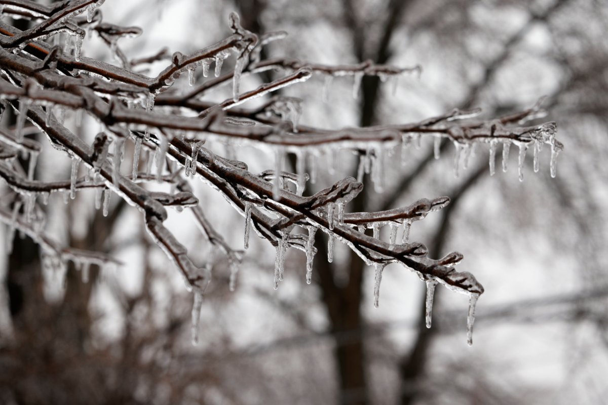 Back-to-Back Winter Storms to Wallop Northeast
