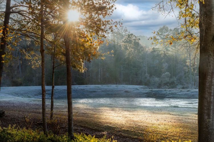 Warnings Issued for Millions as Florida Temperatures Set To Plunge ...