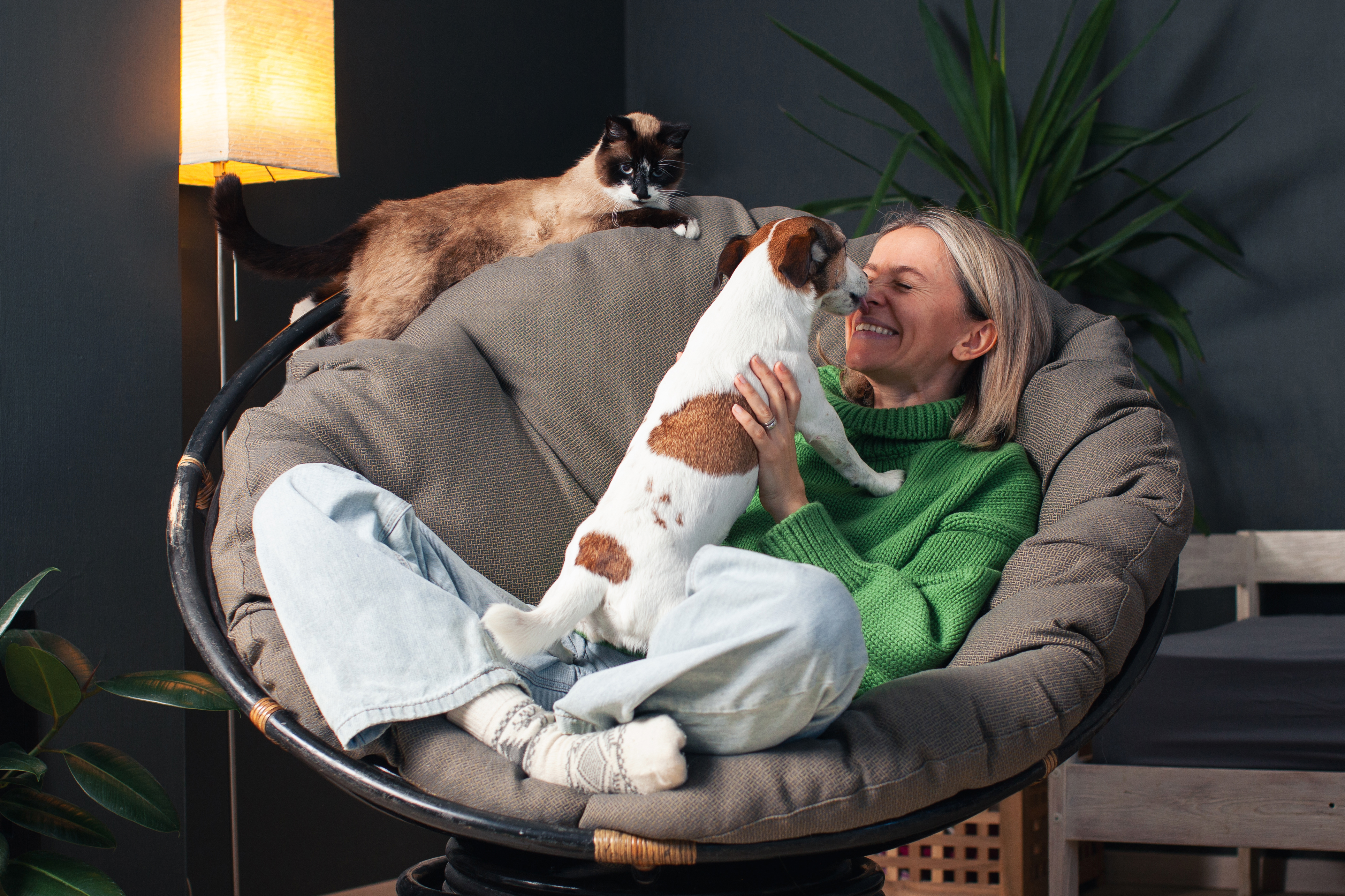 Vet Reveals 10 Ways Your Pet Teaches You Emotional Intelligence