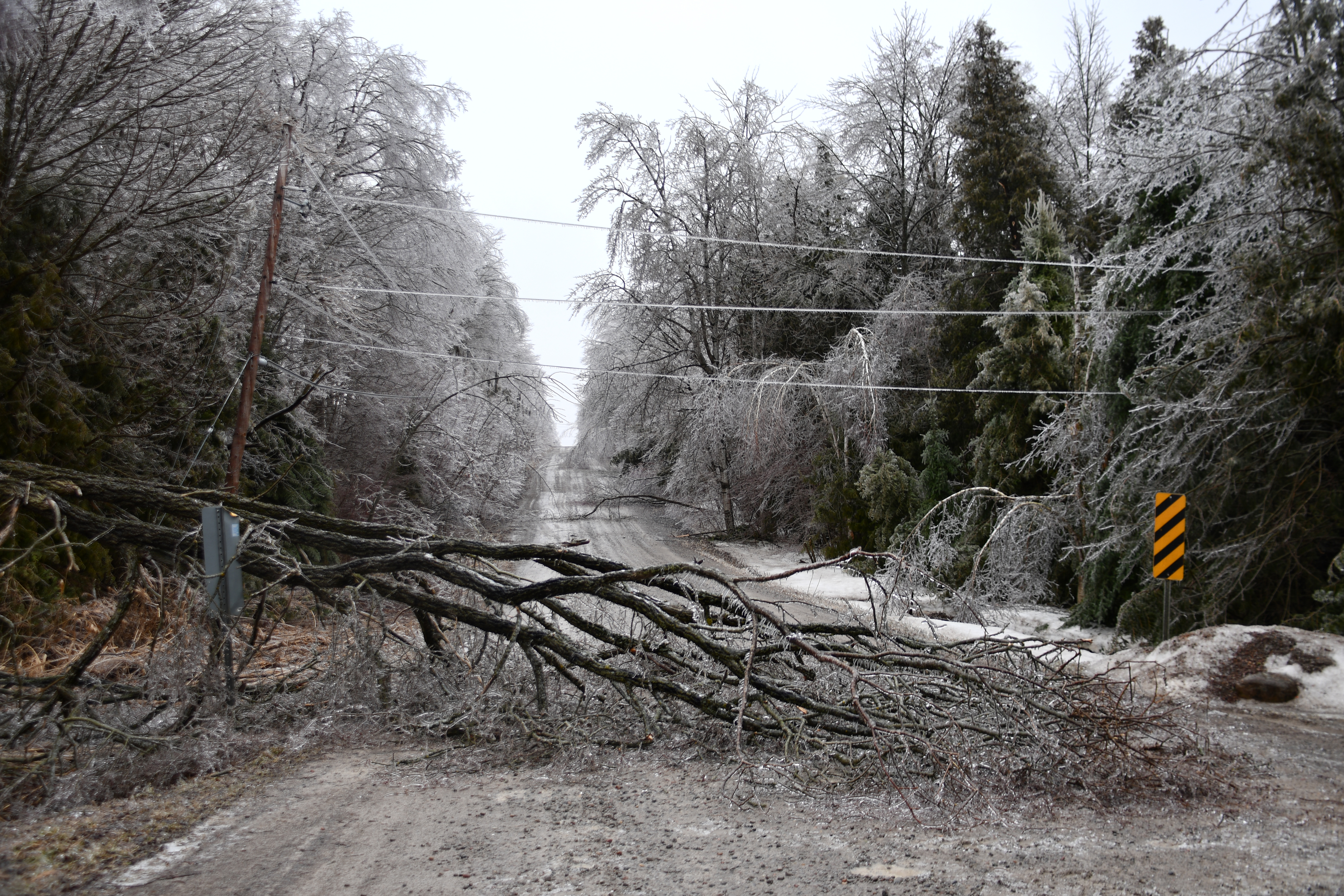 Winter Storm Map Shows Snowfall Totals for Each State