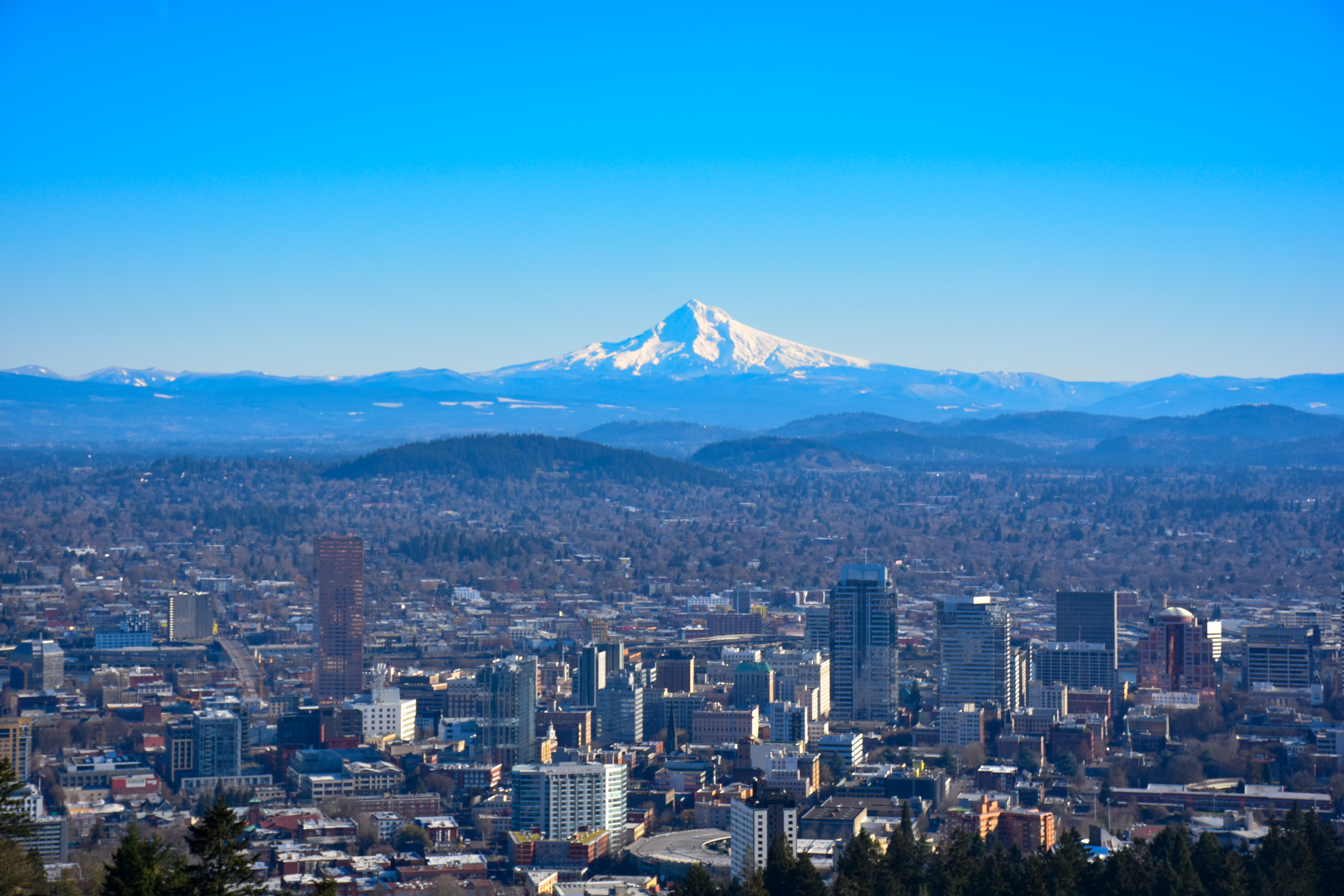 These Are the 3 Best Cities for an MLB Expansion Franchise